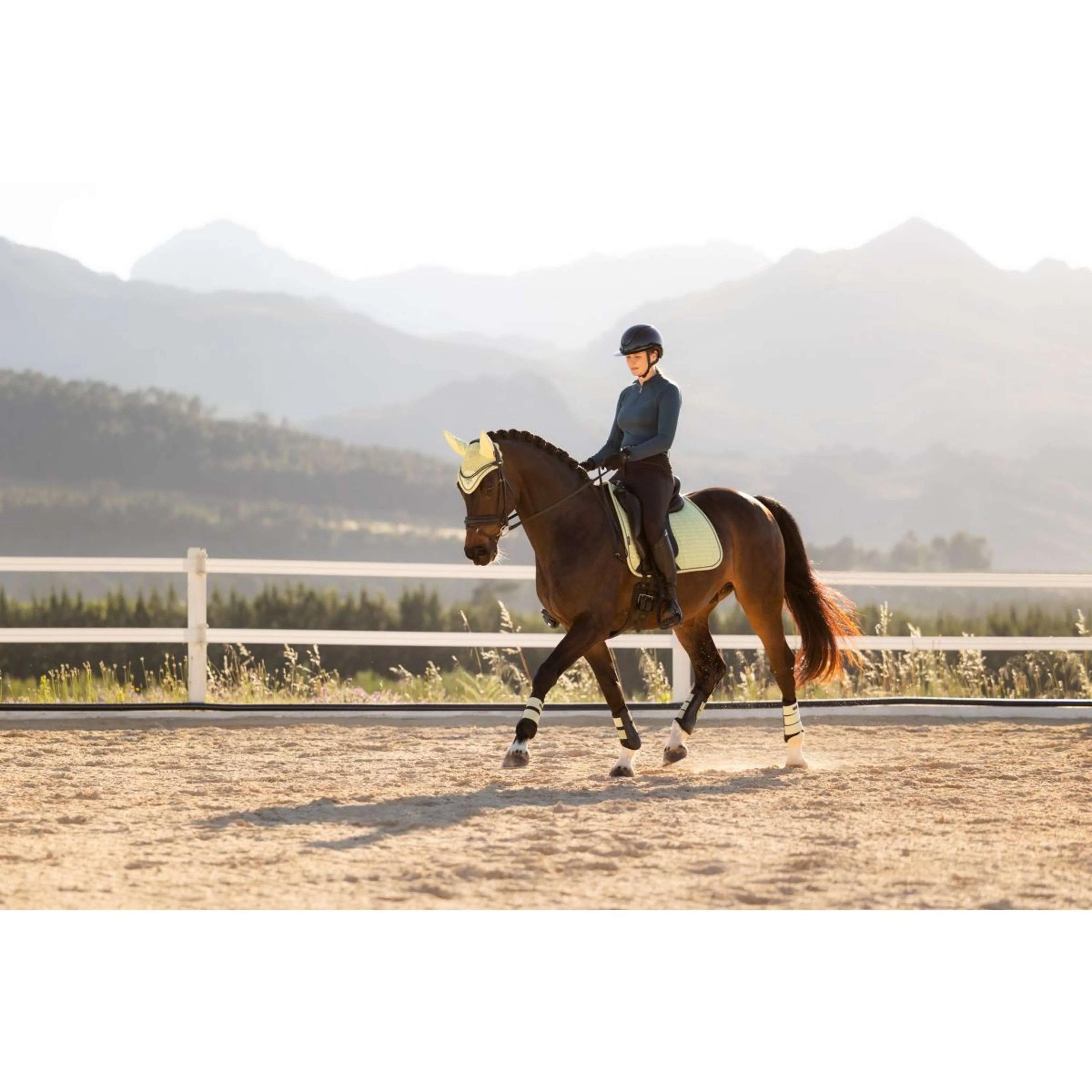 LeMieux Tapis de Selle Suede Square Dressage Macaron - Image 7
