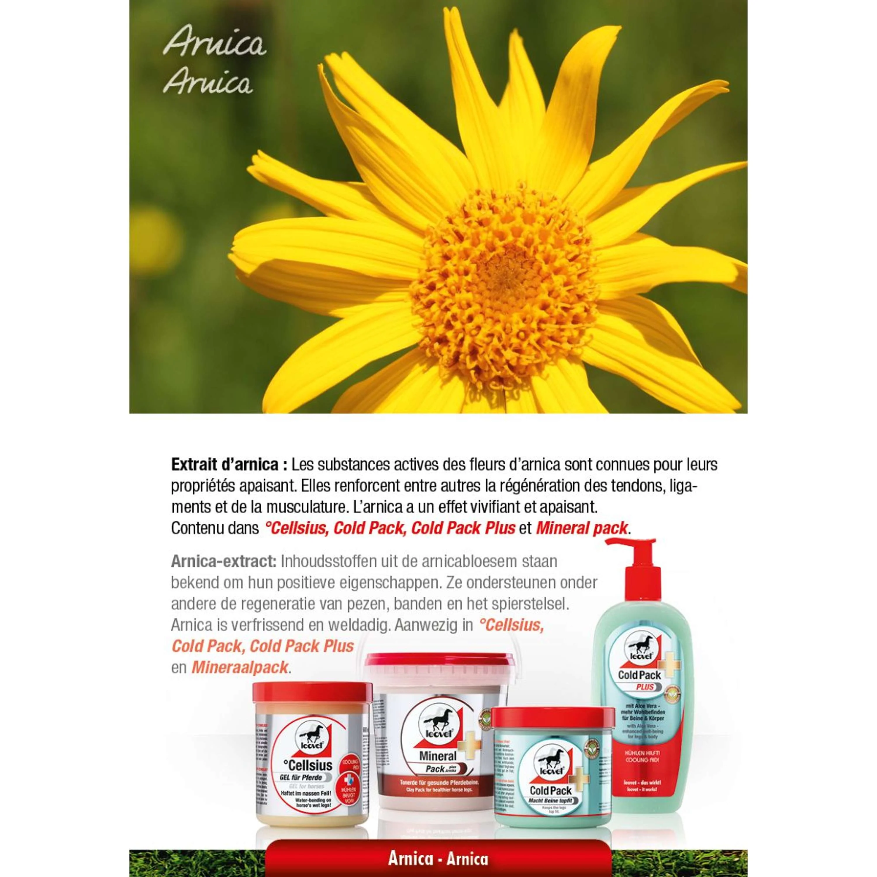 Leovet Pack de Froid - Image 5