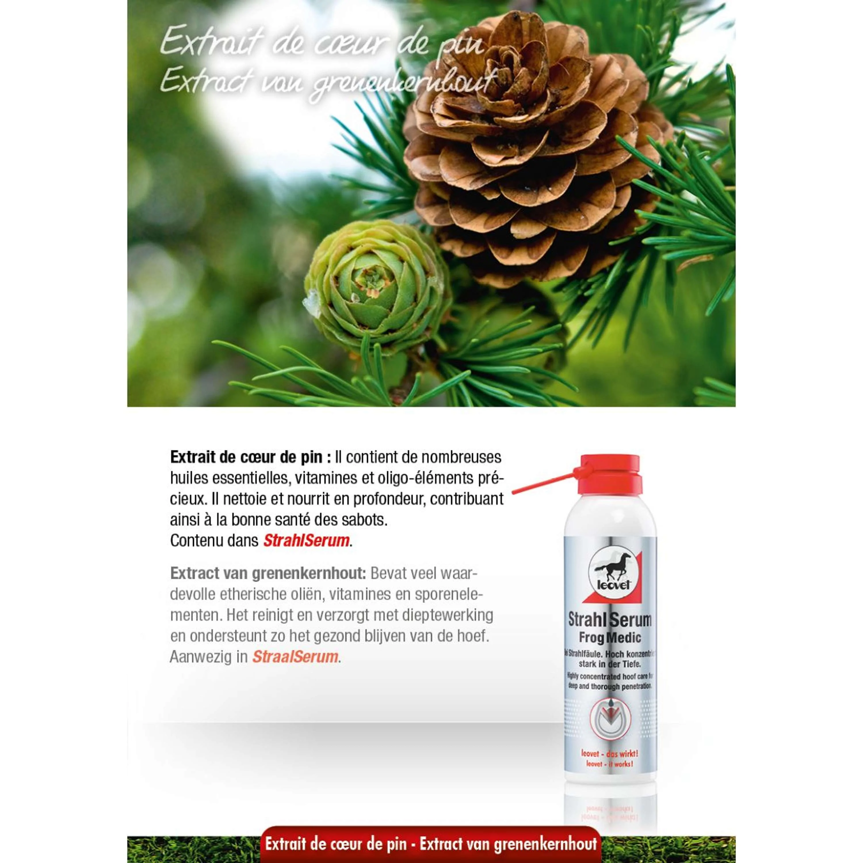 Leovet Straalsan - Image 2