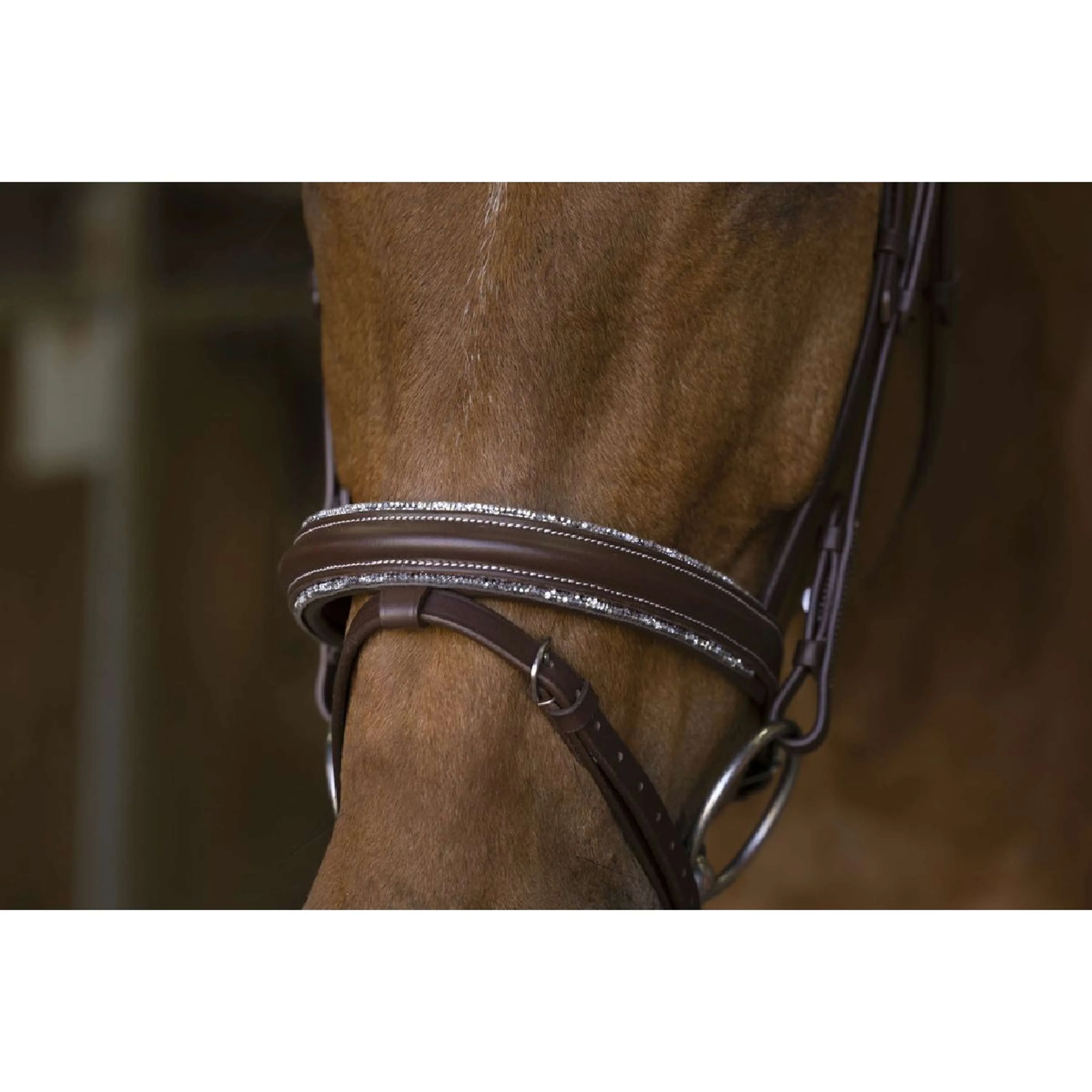 Norton Bride Pro Rock Havane - Image 5
