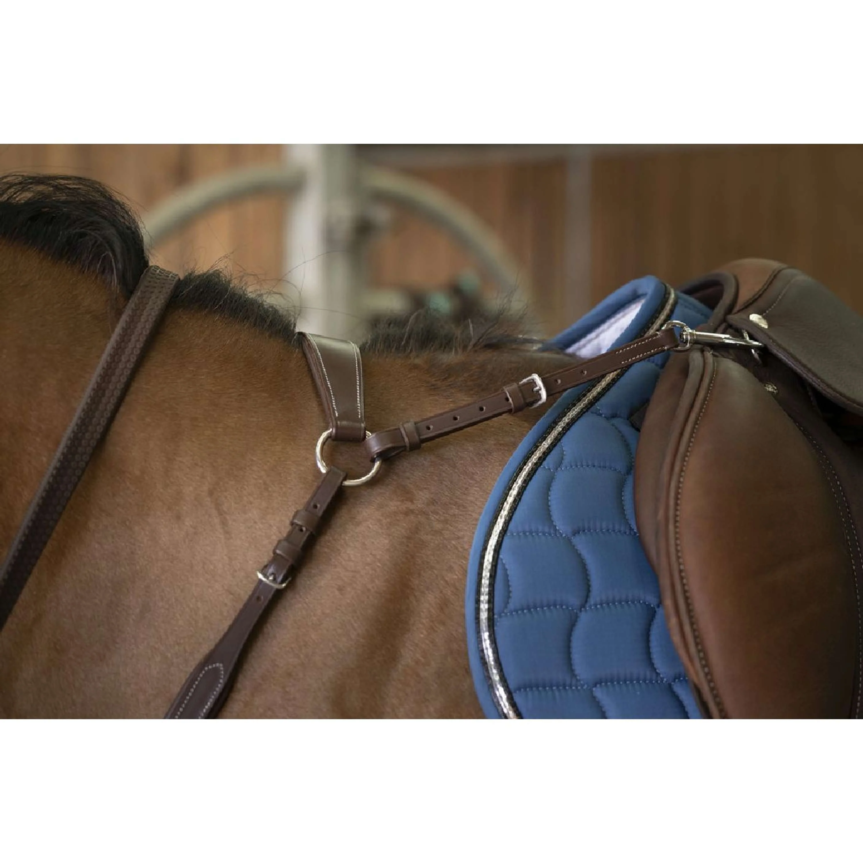 Norton Collier de Chasse Pro Confort Havane - Image 2