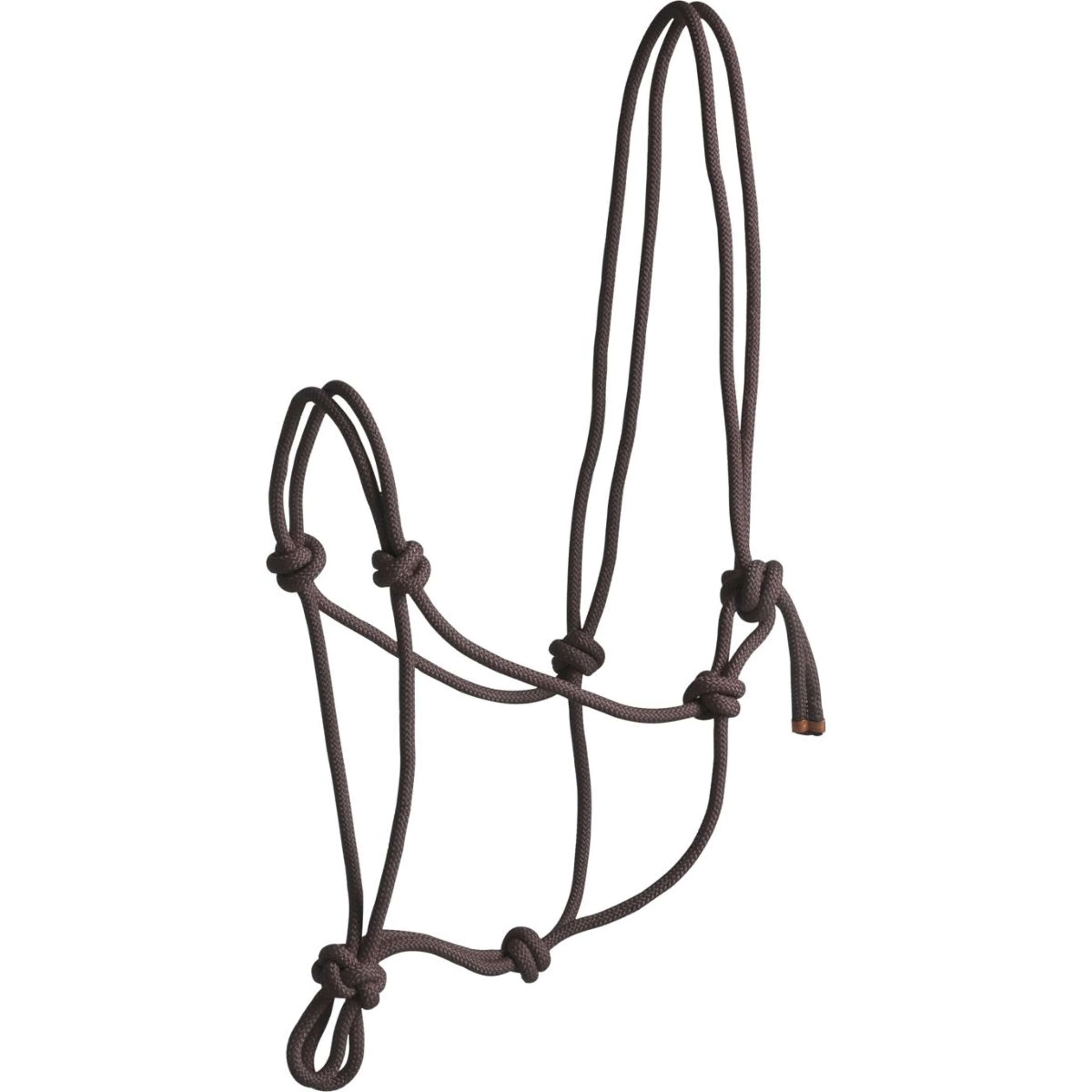 Norton Licol en Corde First Marron