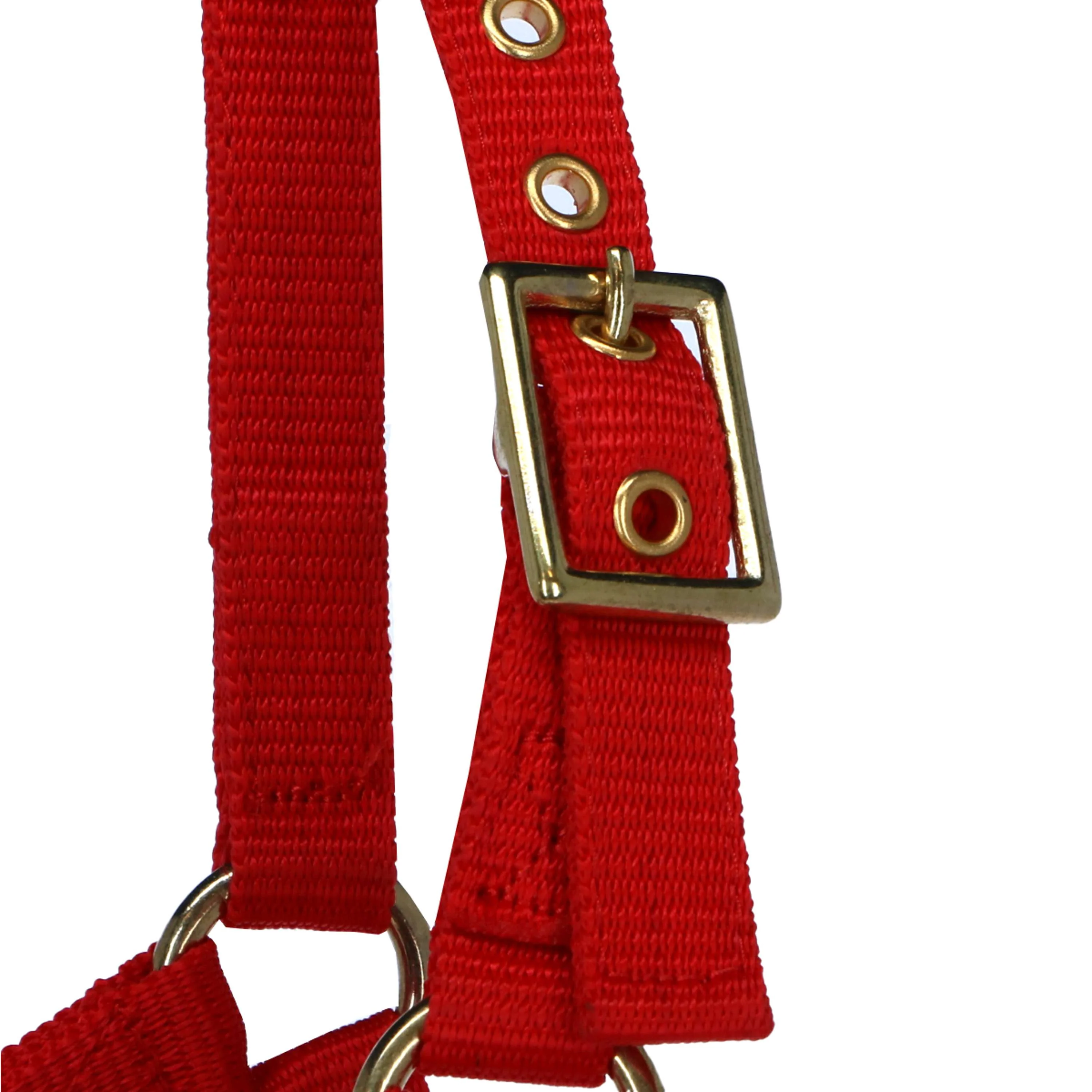 Norton Licol Mini Réglable Rouge - Image 2