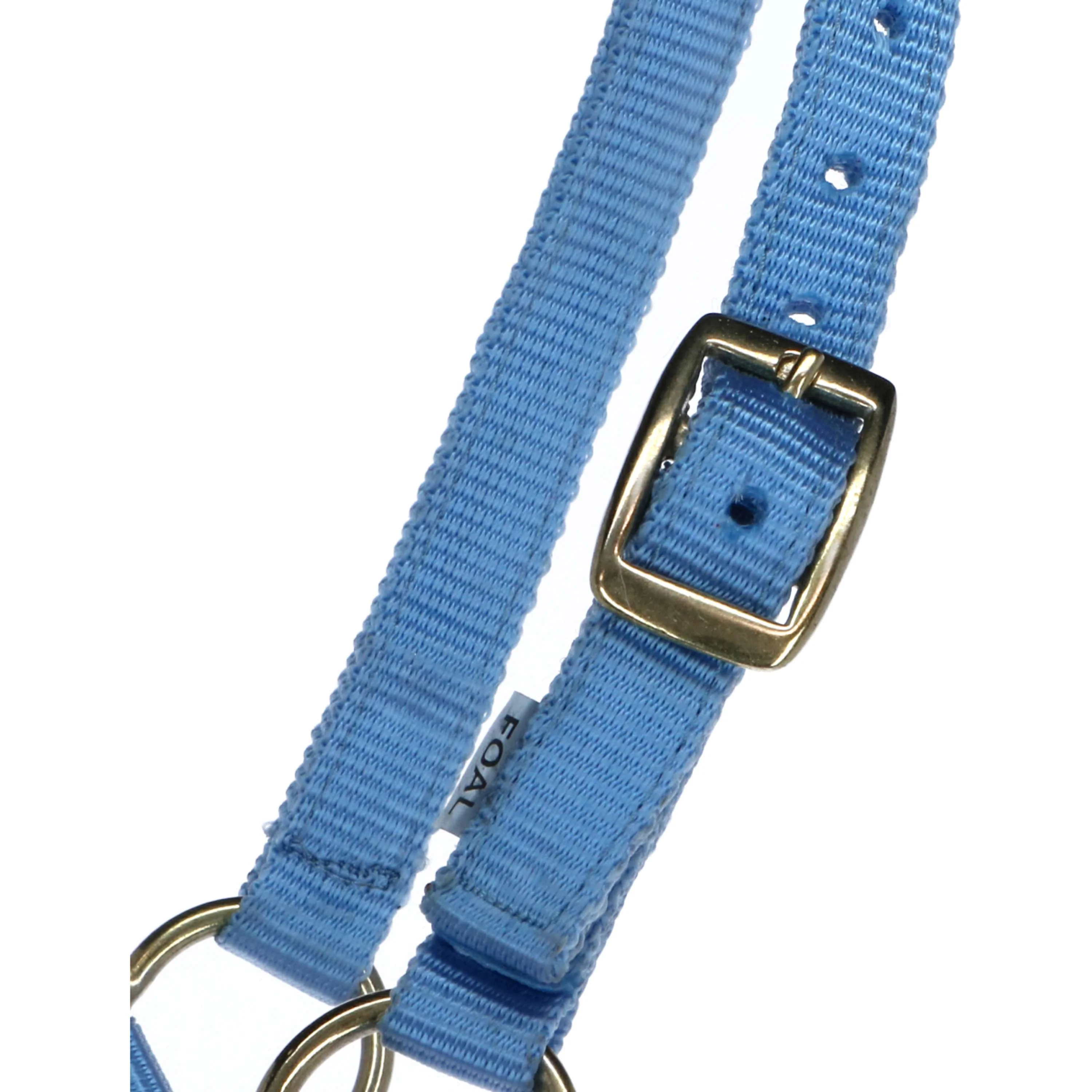 Norton Licol pour Poulain avec Ligne Bleu Clair - Image 2