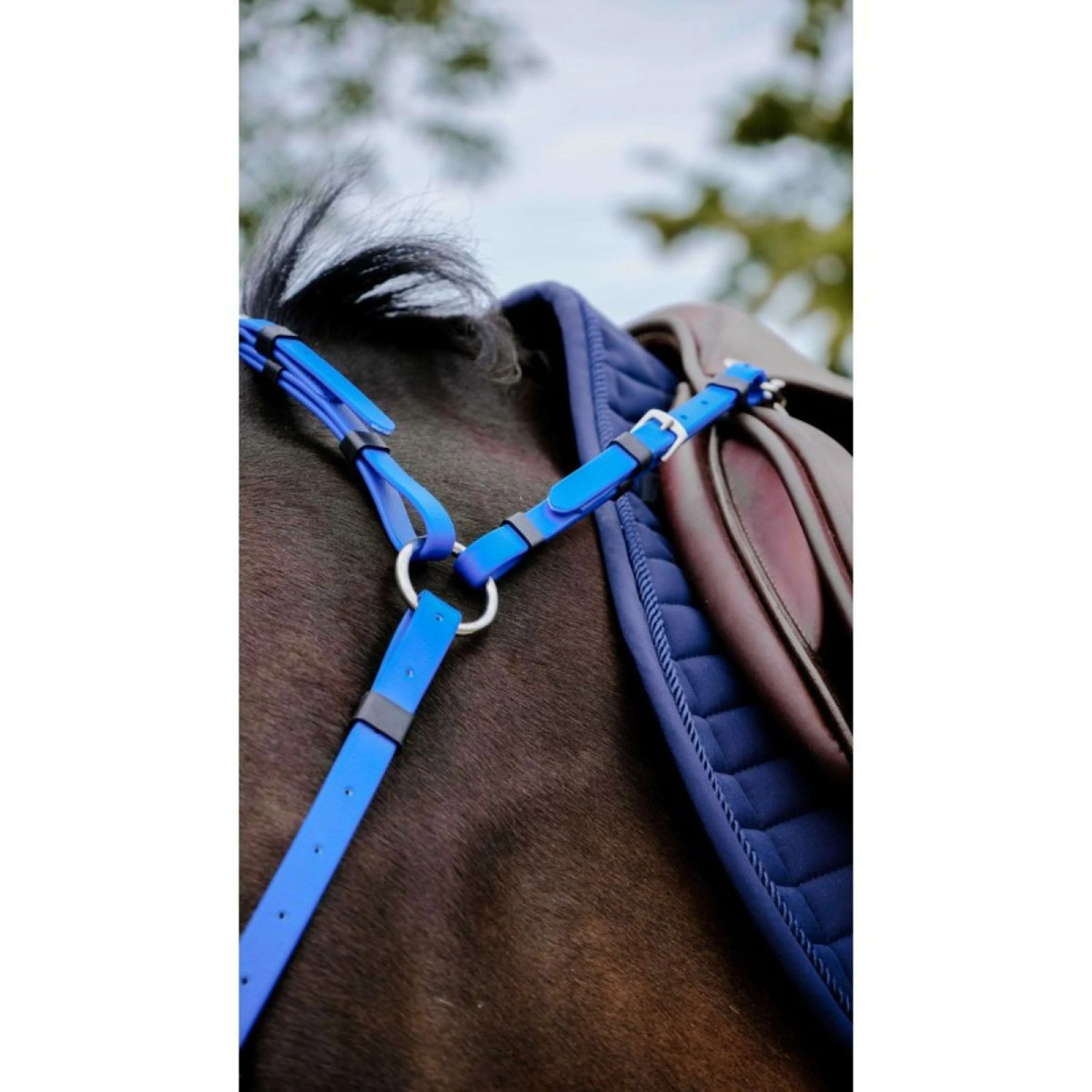 Norton Martingale Endurance Bleu Royal - Image 2