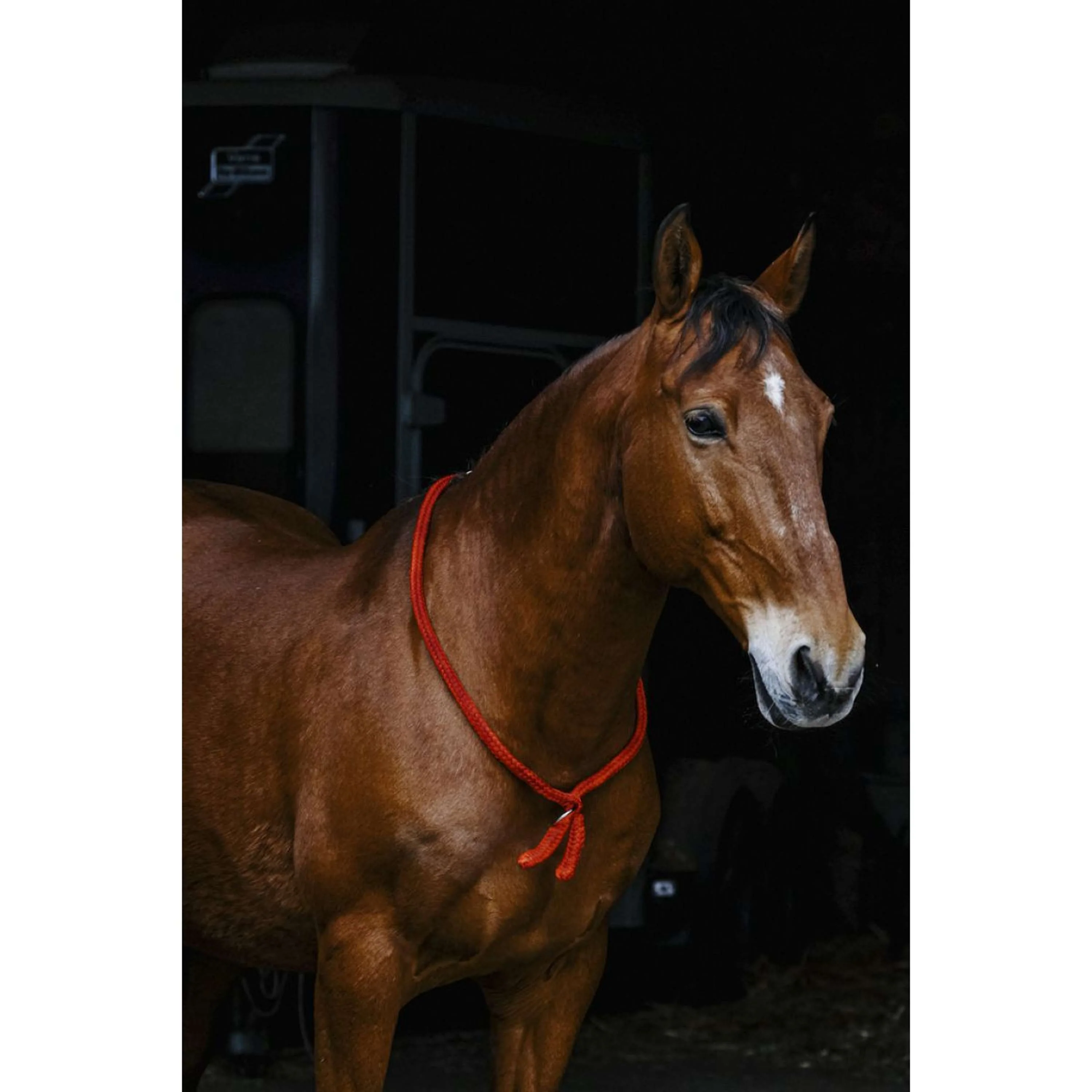 Norton Neckrope Rouge - Image 2