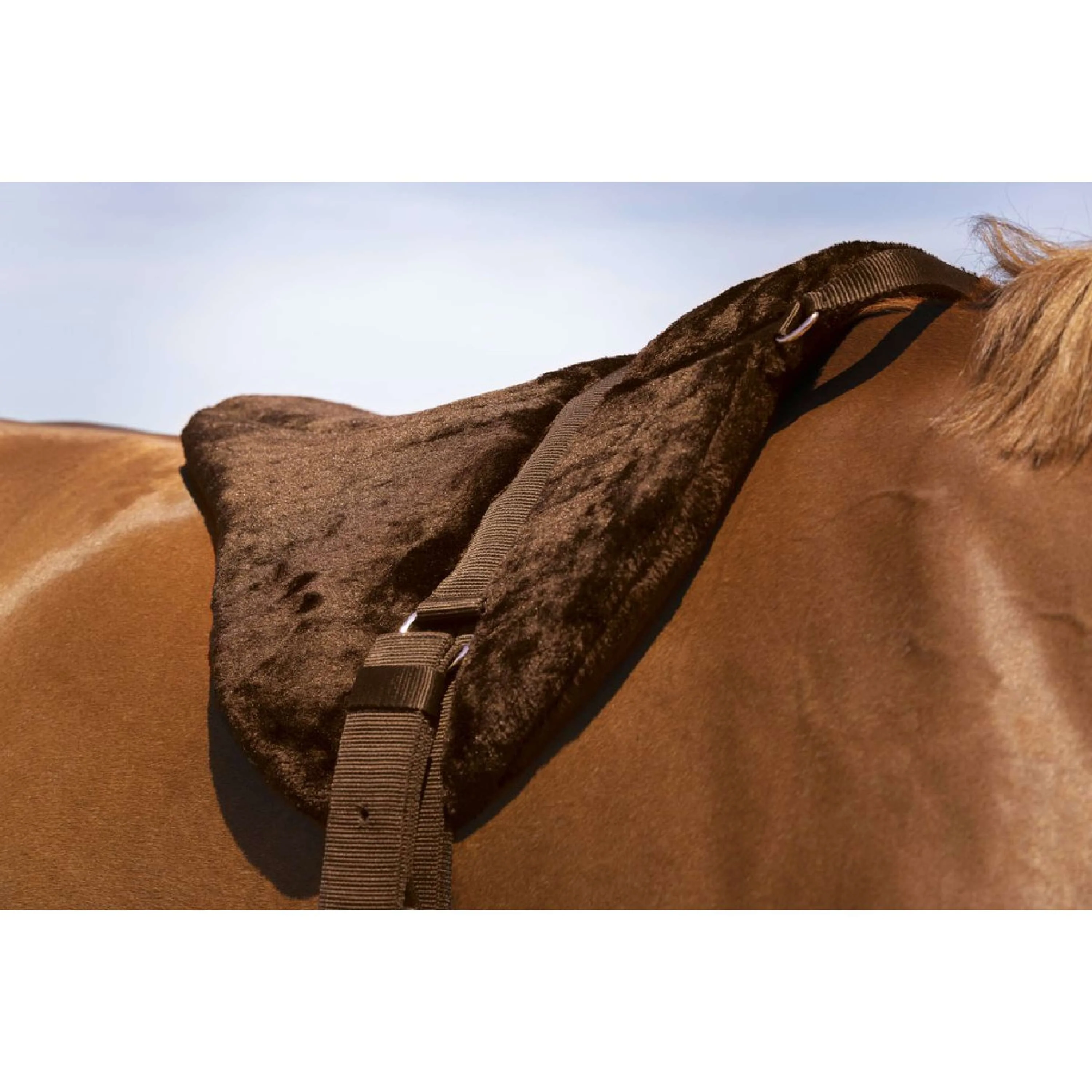 Norton Pad Sans Selle Confort Marron - Image 2