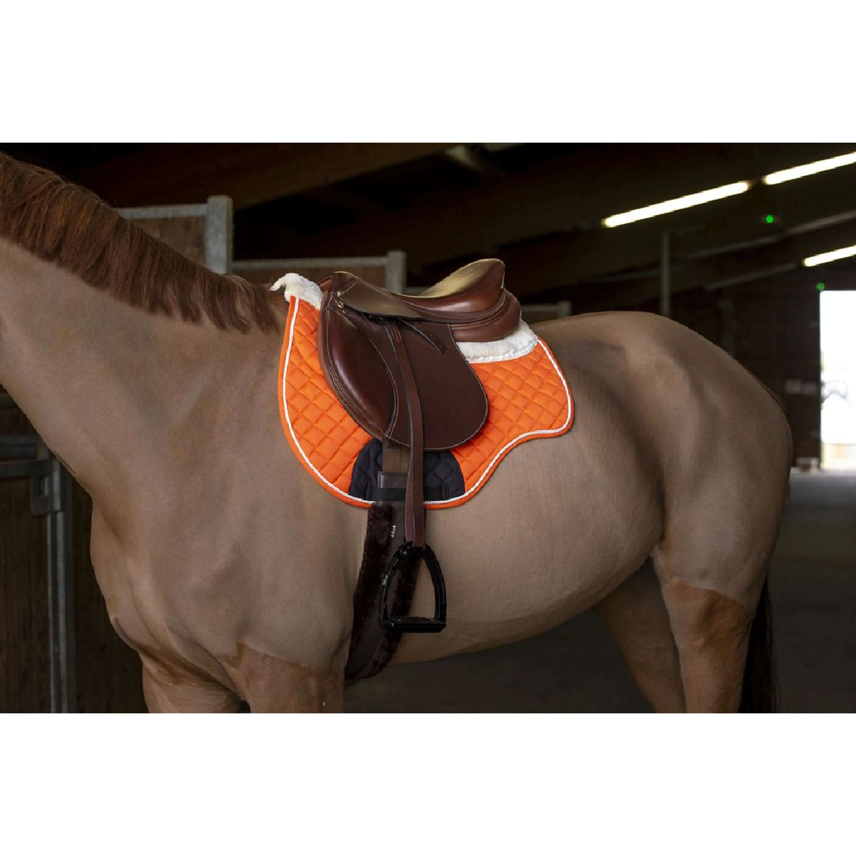 Norton Tapis de Selle Confort Orange - Image 2