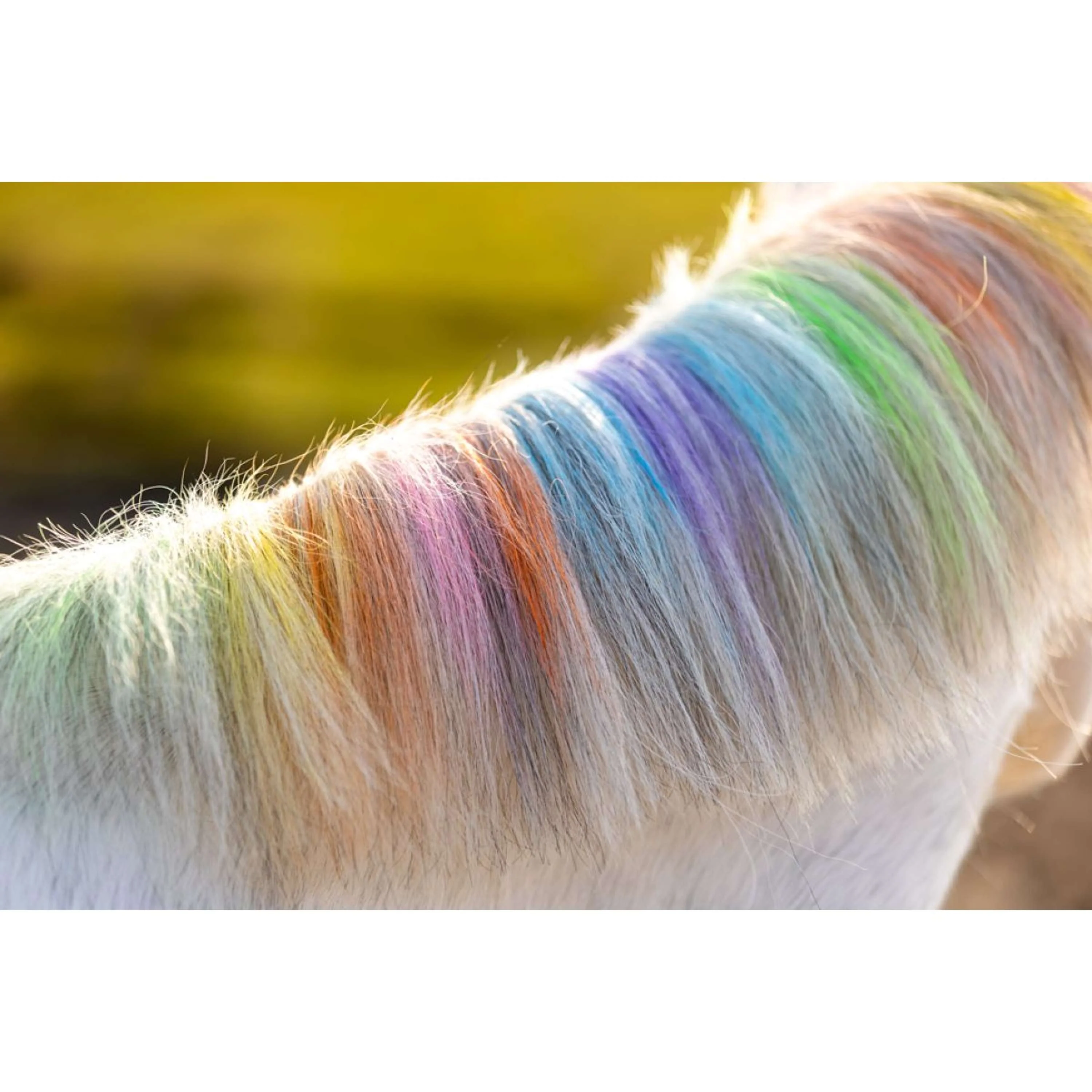Paardenpraat Sa craie Arc-en-ciel - Image 5