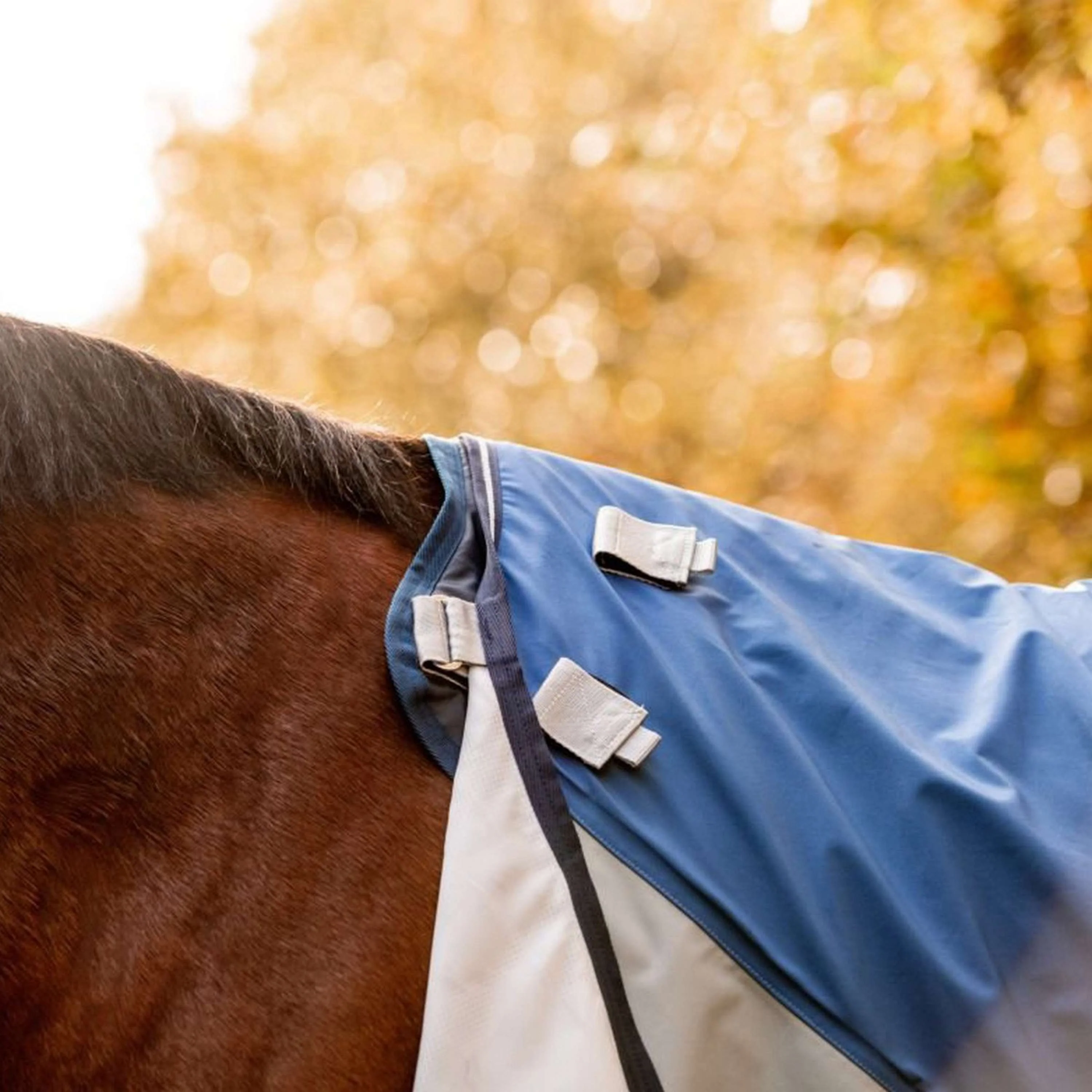 Rambo Autumn Series Turnout Marine/Gris Dots - Image 6