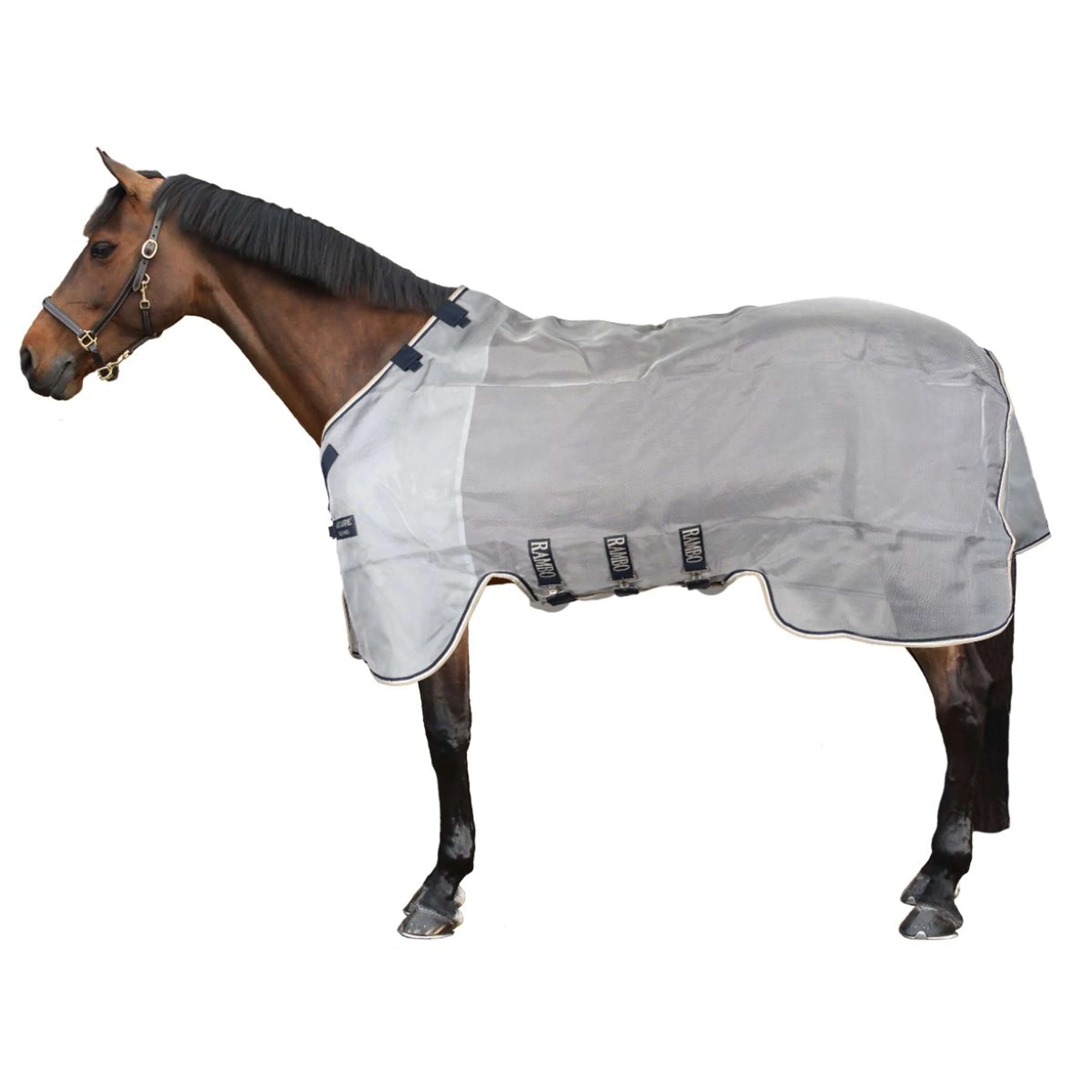 Rambo Protecteur Argent/Marine/Blanc/Beige - Image 2