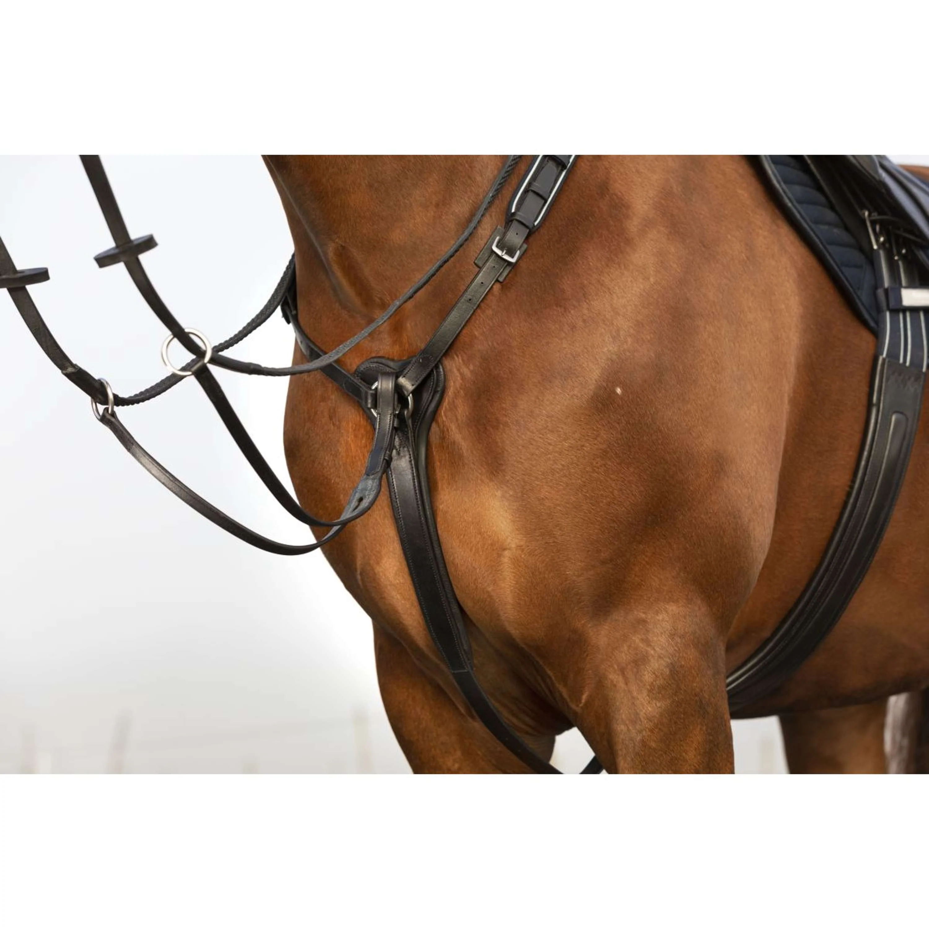 Horseware Micklem Collier de Chasse avec Martingale Noir - Image 2