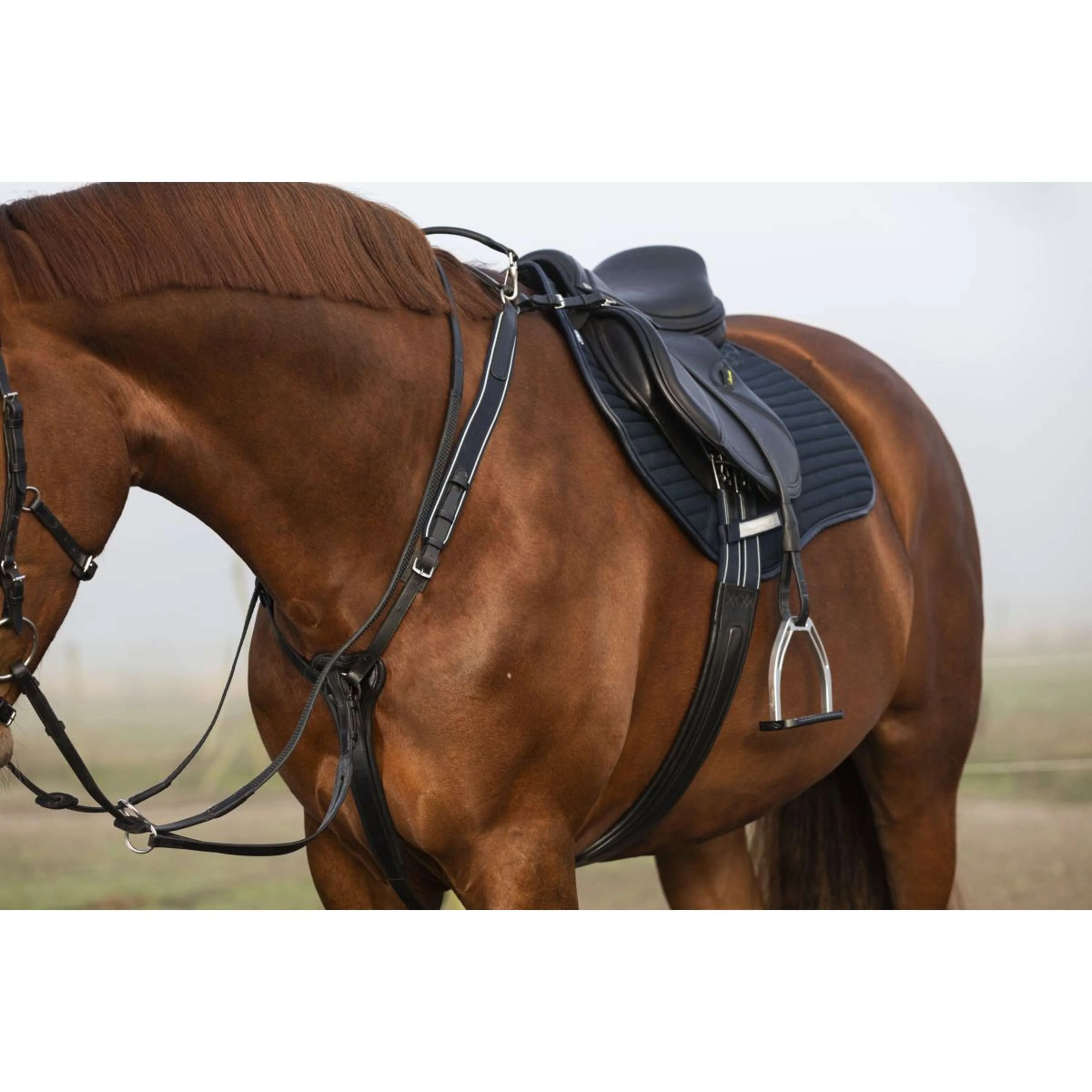 Horseware Micklem Collier de Chasse avec Martingale Noir - Image 5