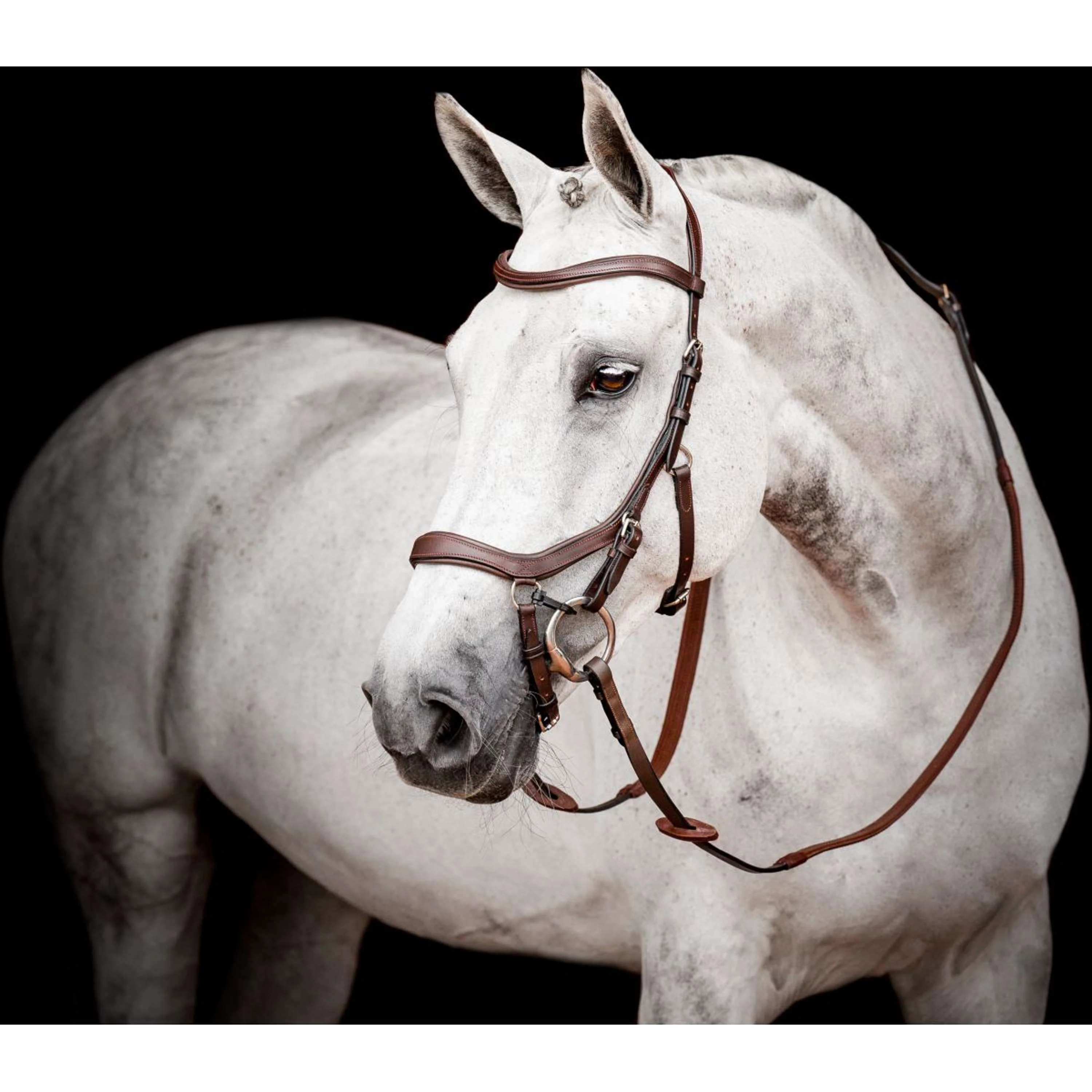 Horseware Micklem Multi Bridle Nouveau Dark Havana