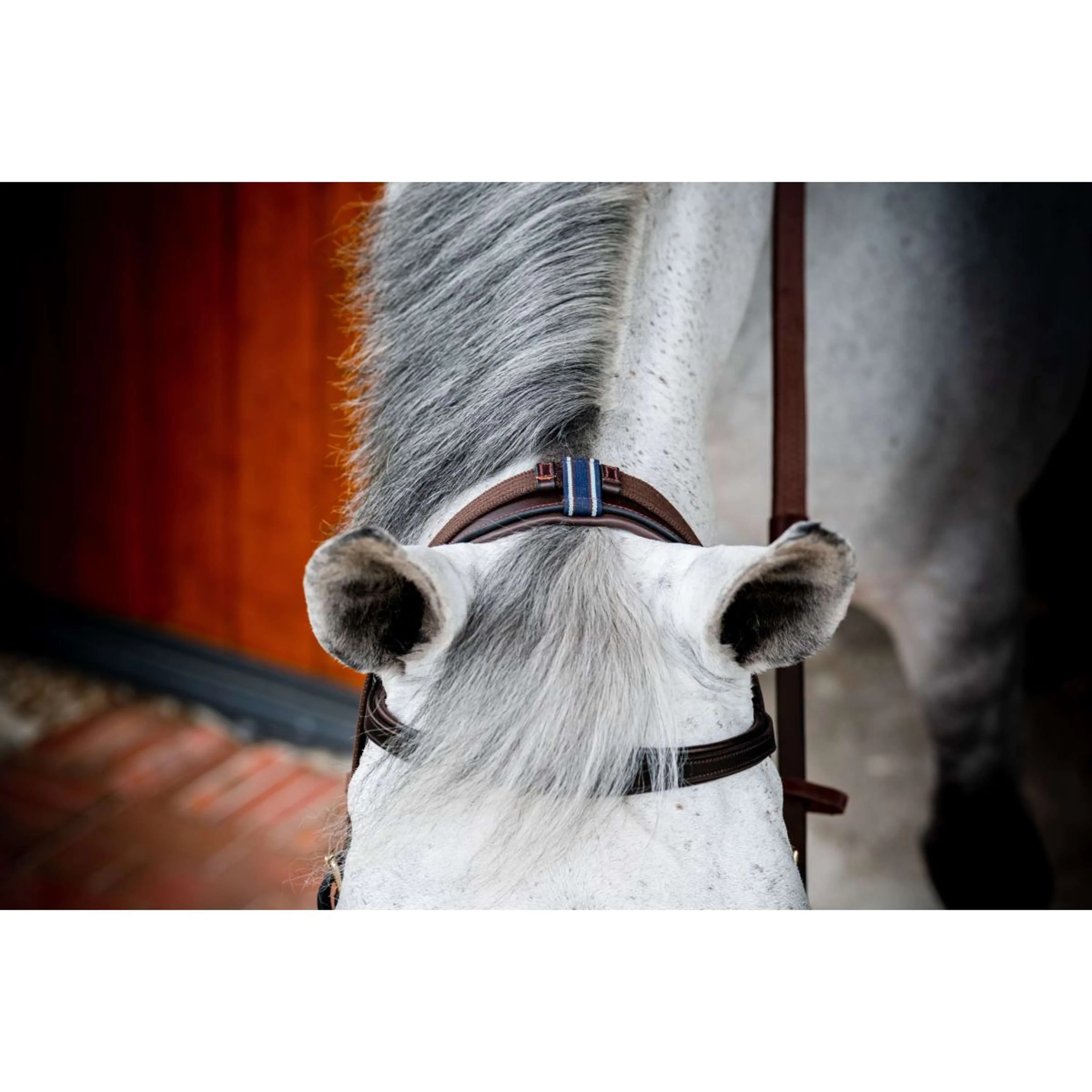 Horseware Micklem Multi Bridle Nouveau Dark Havana - Image 6