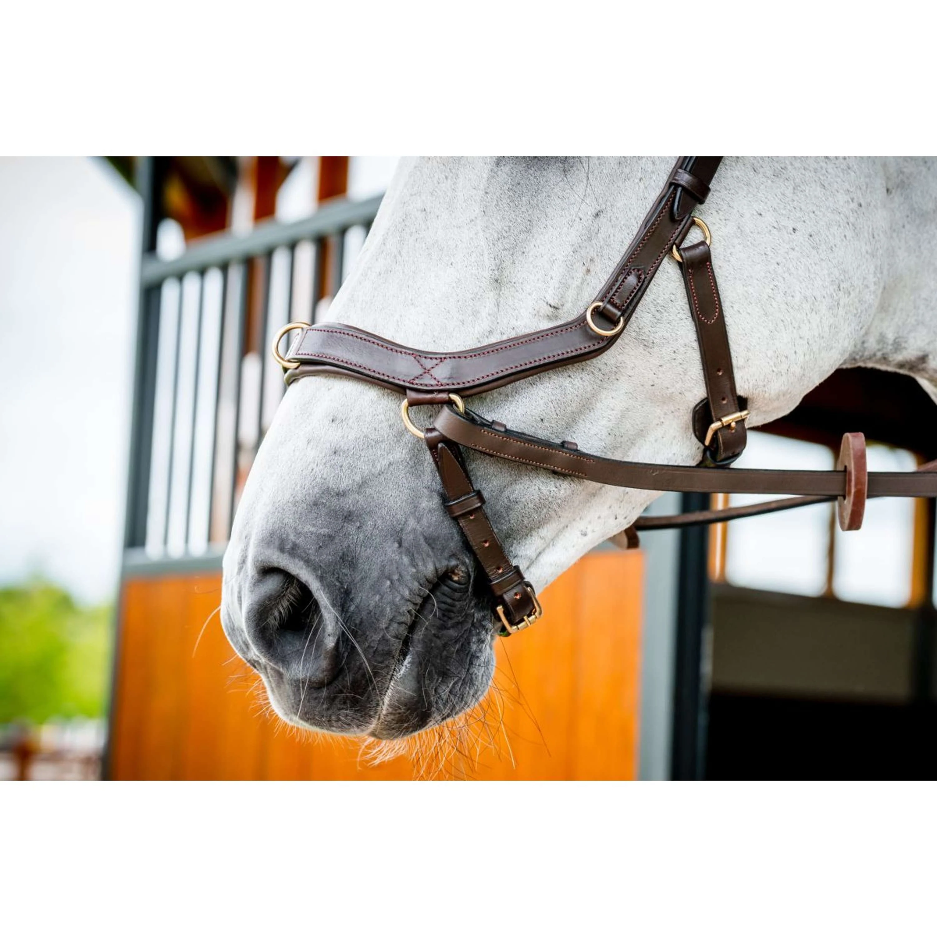 Horseware Micklem Multi Bridle Nouveau Dark Havana - Image 8