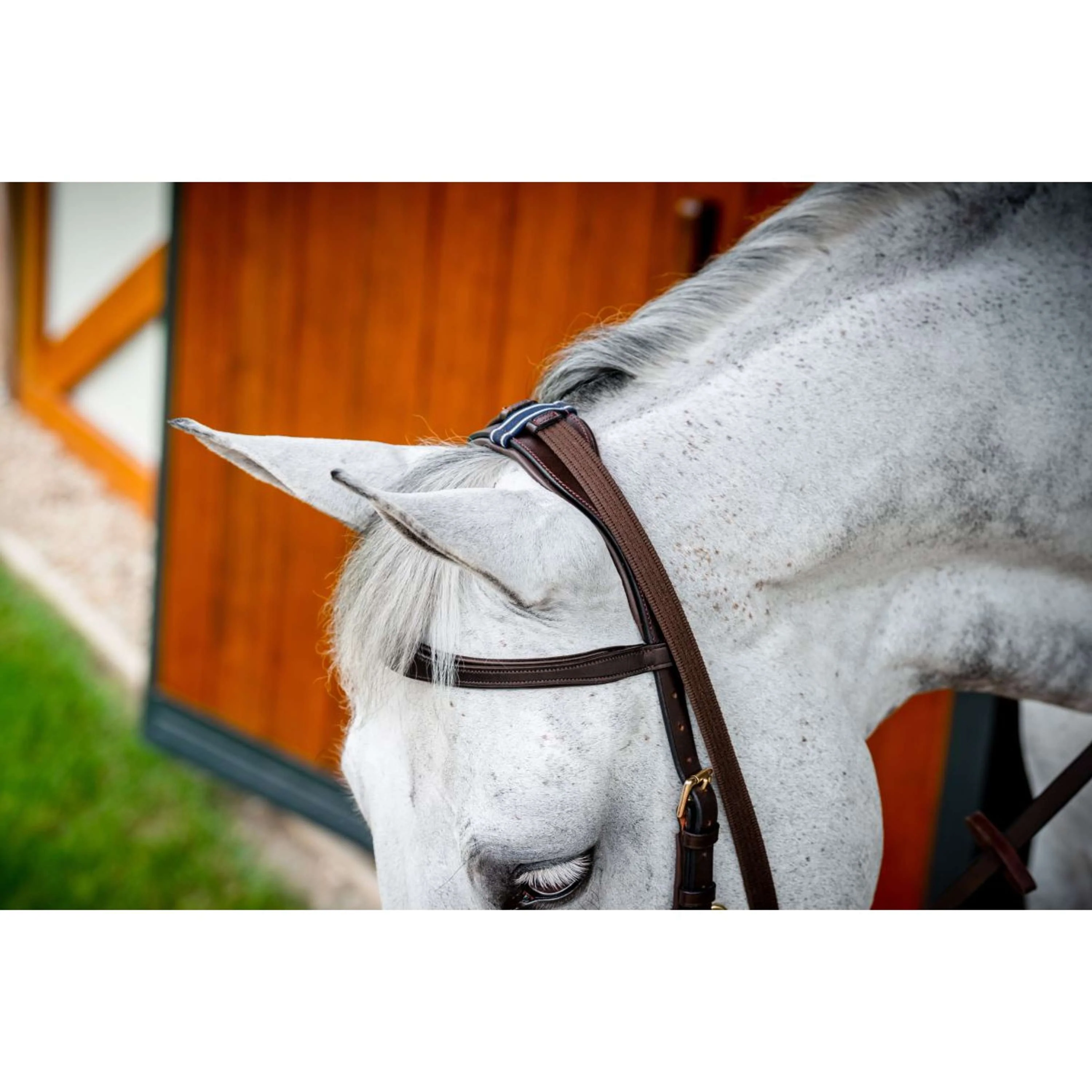 Horseware Micklem Multi Bridle Nouveau Dark Havana - Image 9