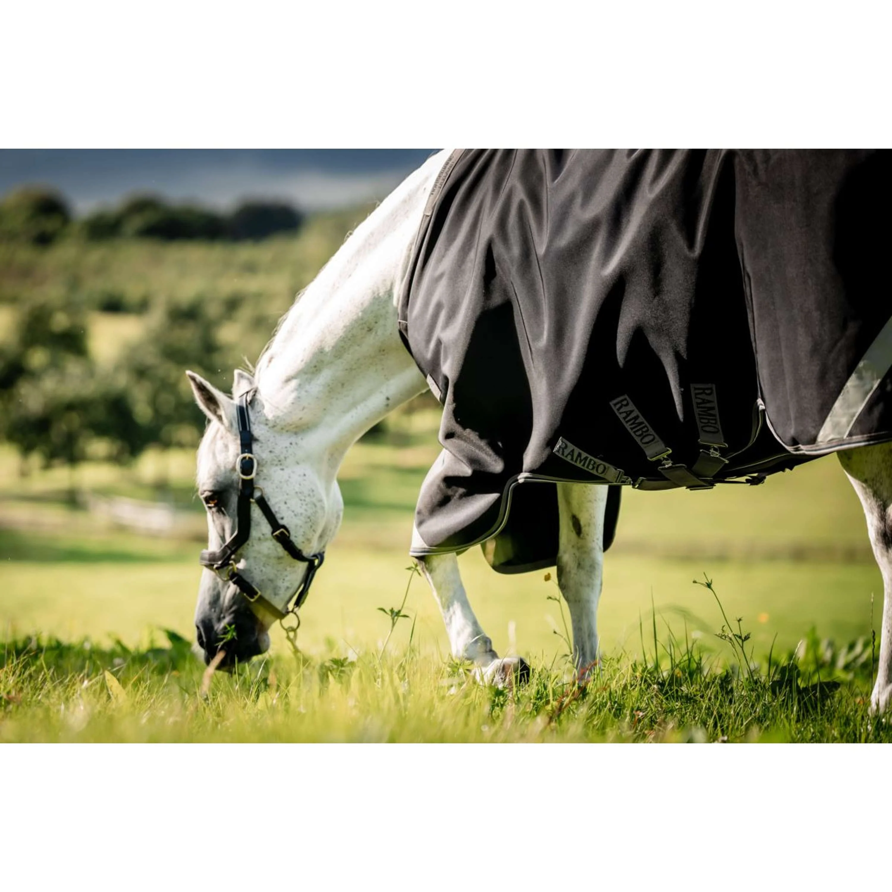 Rambo Turnout Rug 1680D Varilayer 250g Black/Thunderstorm Grey/Silver - Image 3