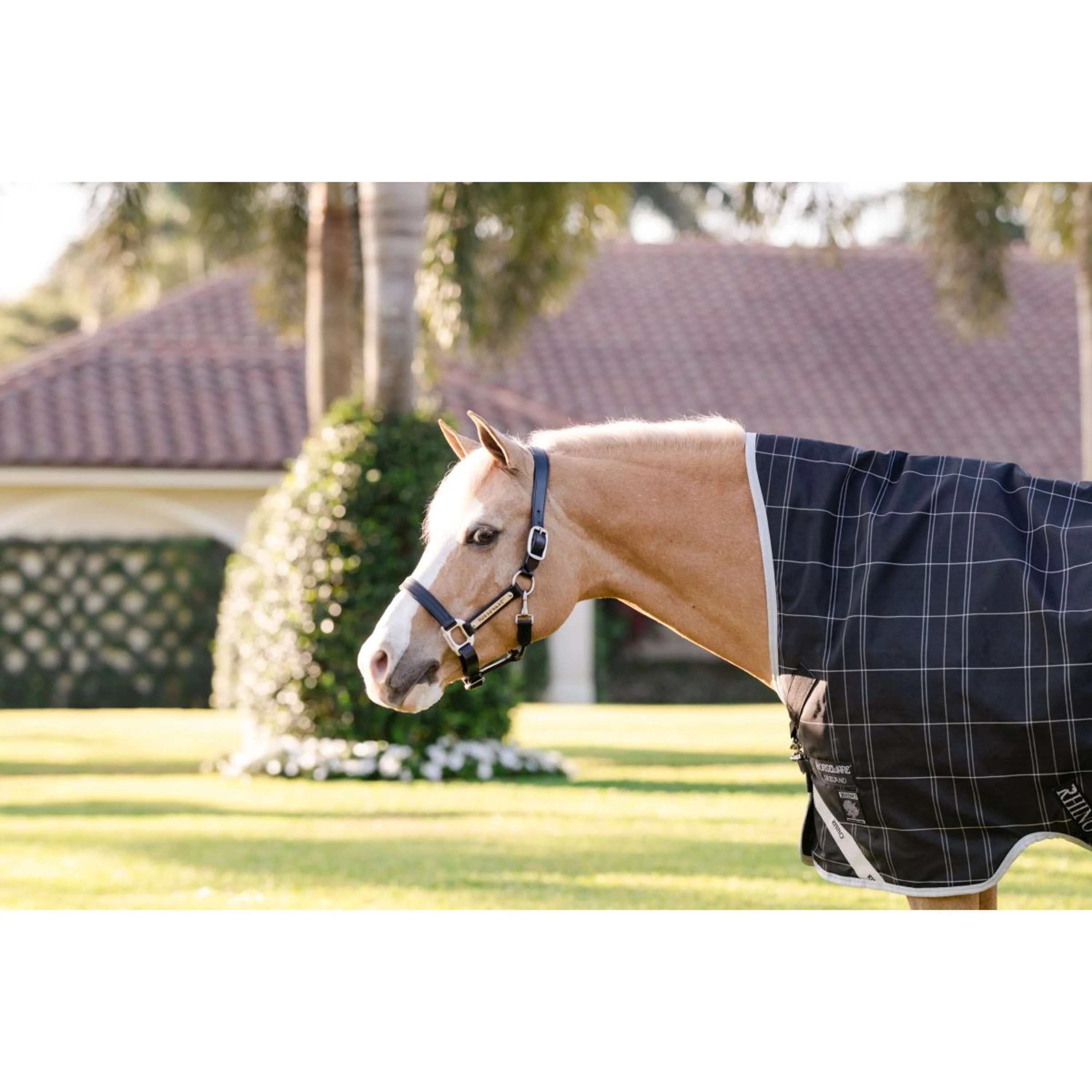 Rhino Wug Pony Turnout 250g Varilayer Black/Grey/White Check/Gray - Image 3