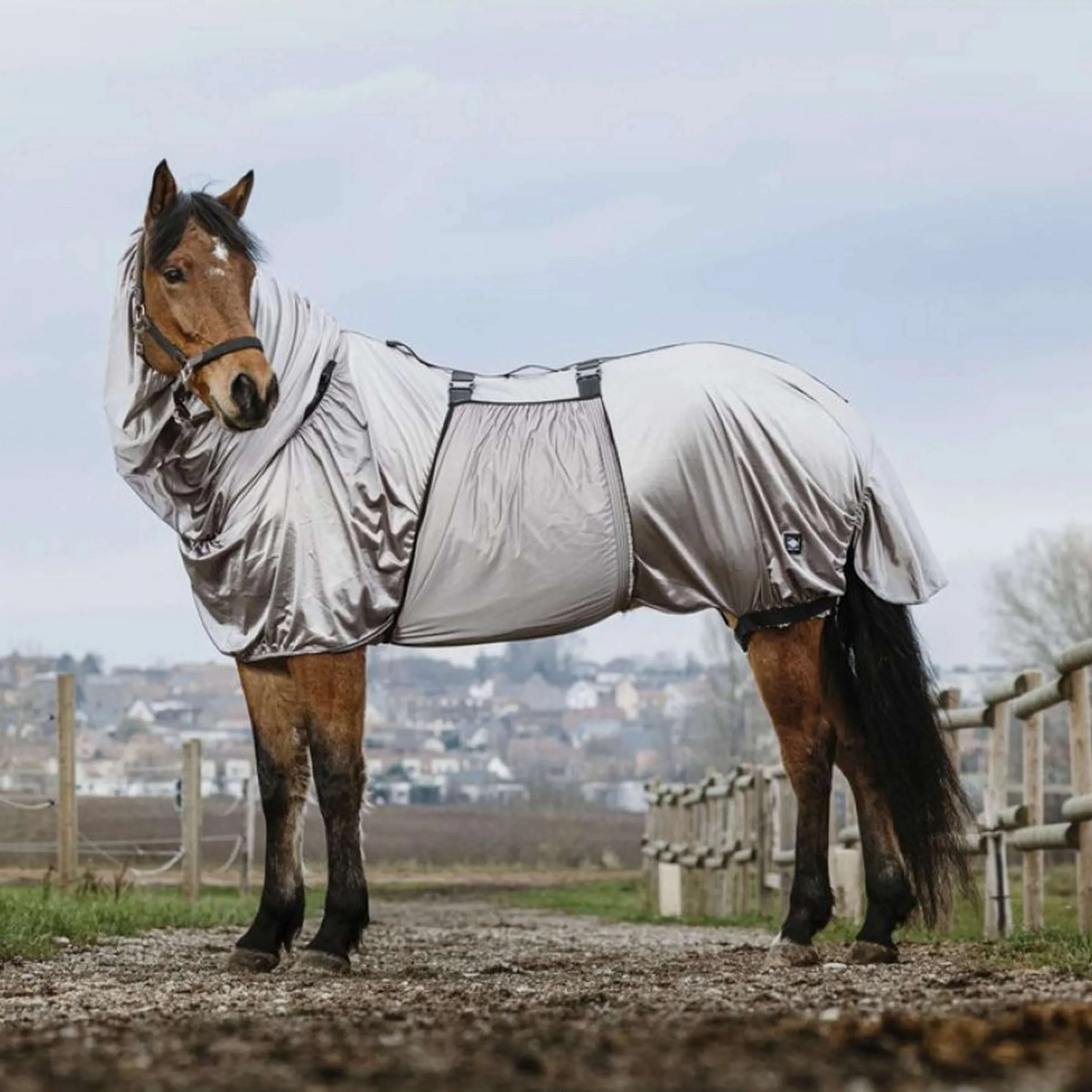 Riding World Couverture Anti-Eczema Gris