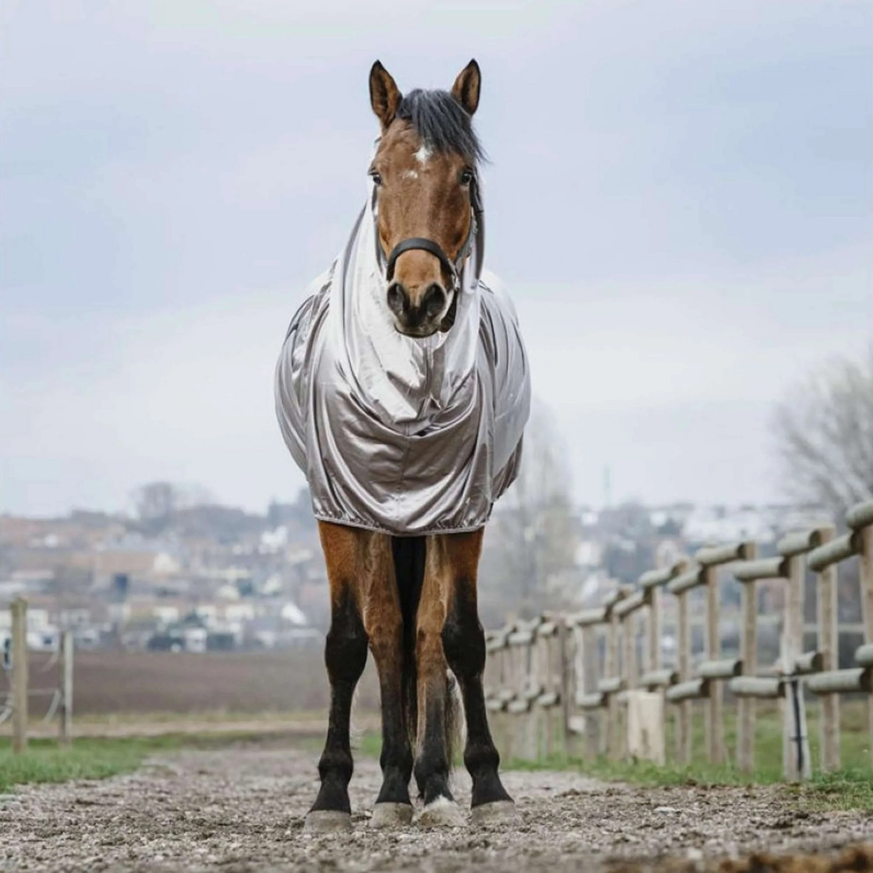 Riding World Couverture Anti-Eczema Gris - Image 2