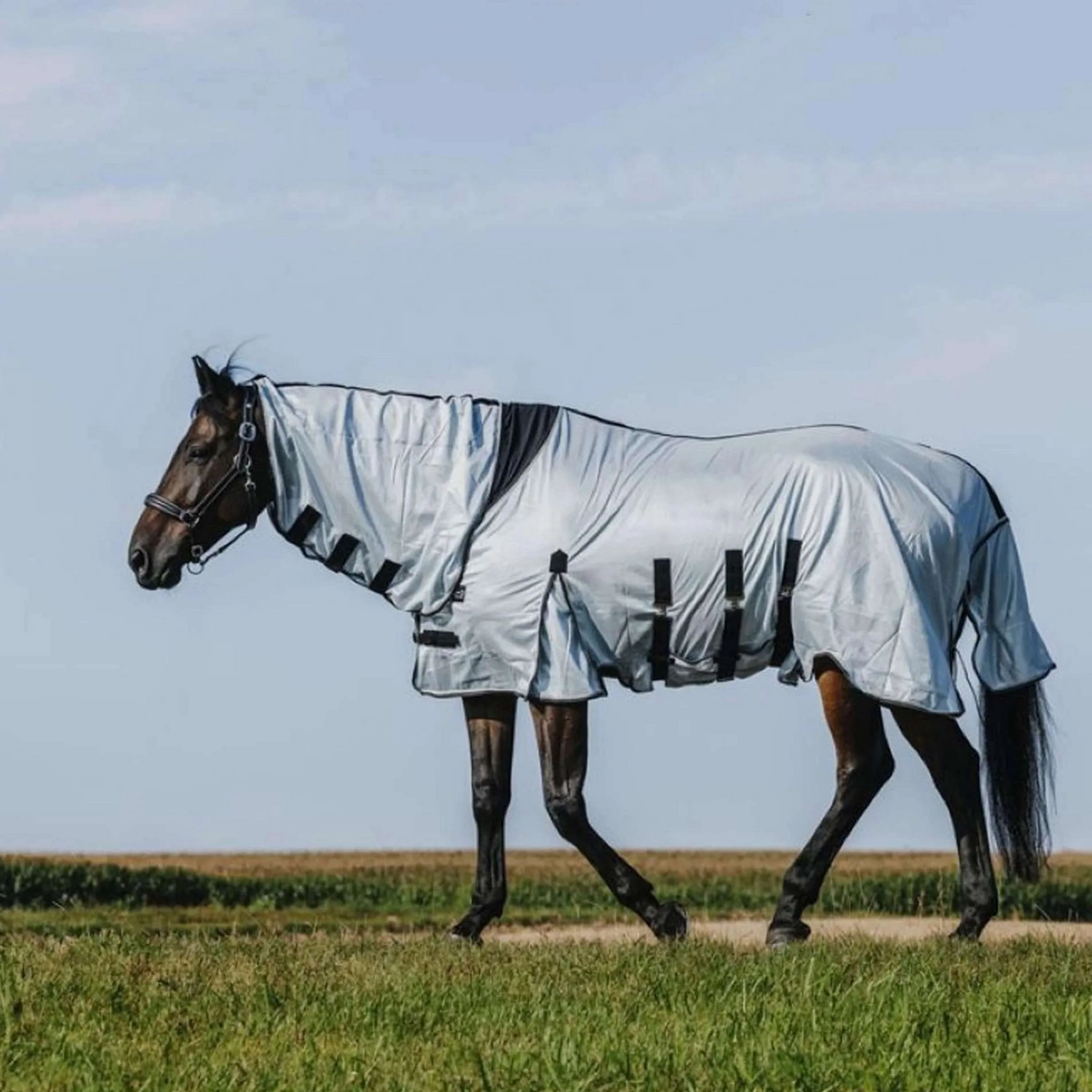 Riding World Couverture Anti-Mouches Belly Mesh Combo Gris - Image 2
