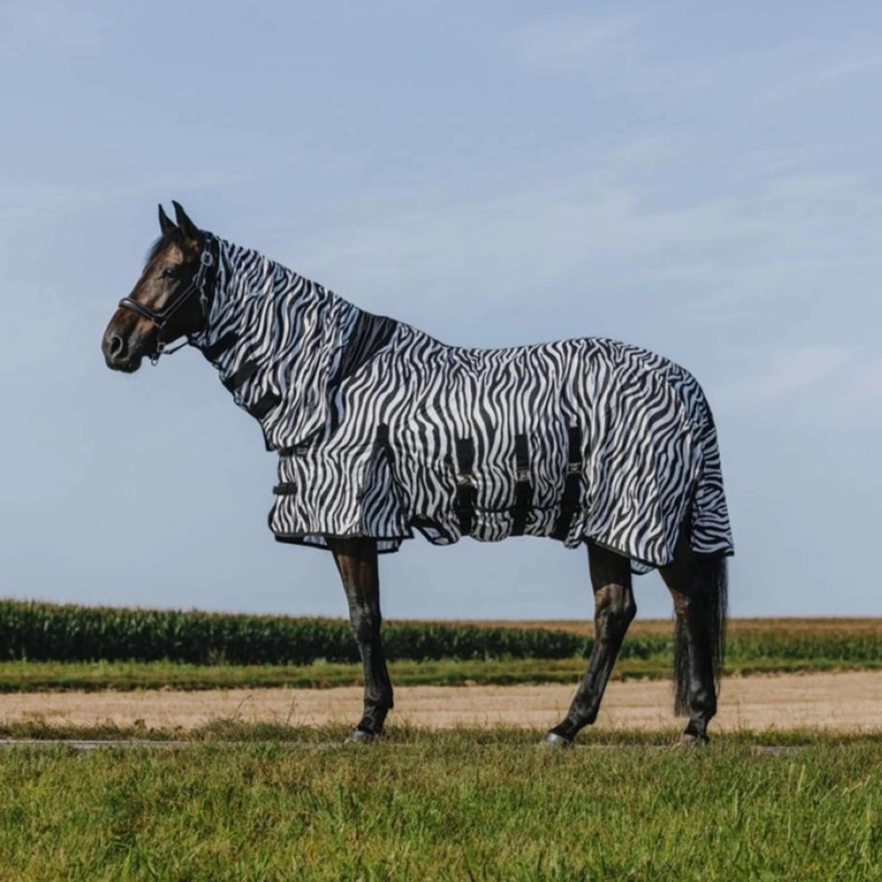 Riding World Couverture Anti-Mouches Belly Mesh Combo Zebra