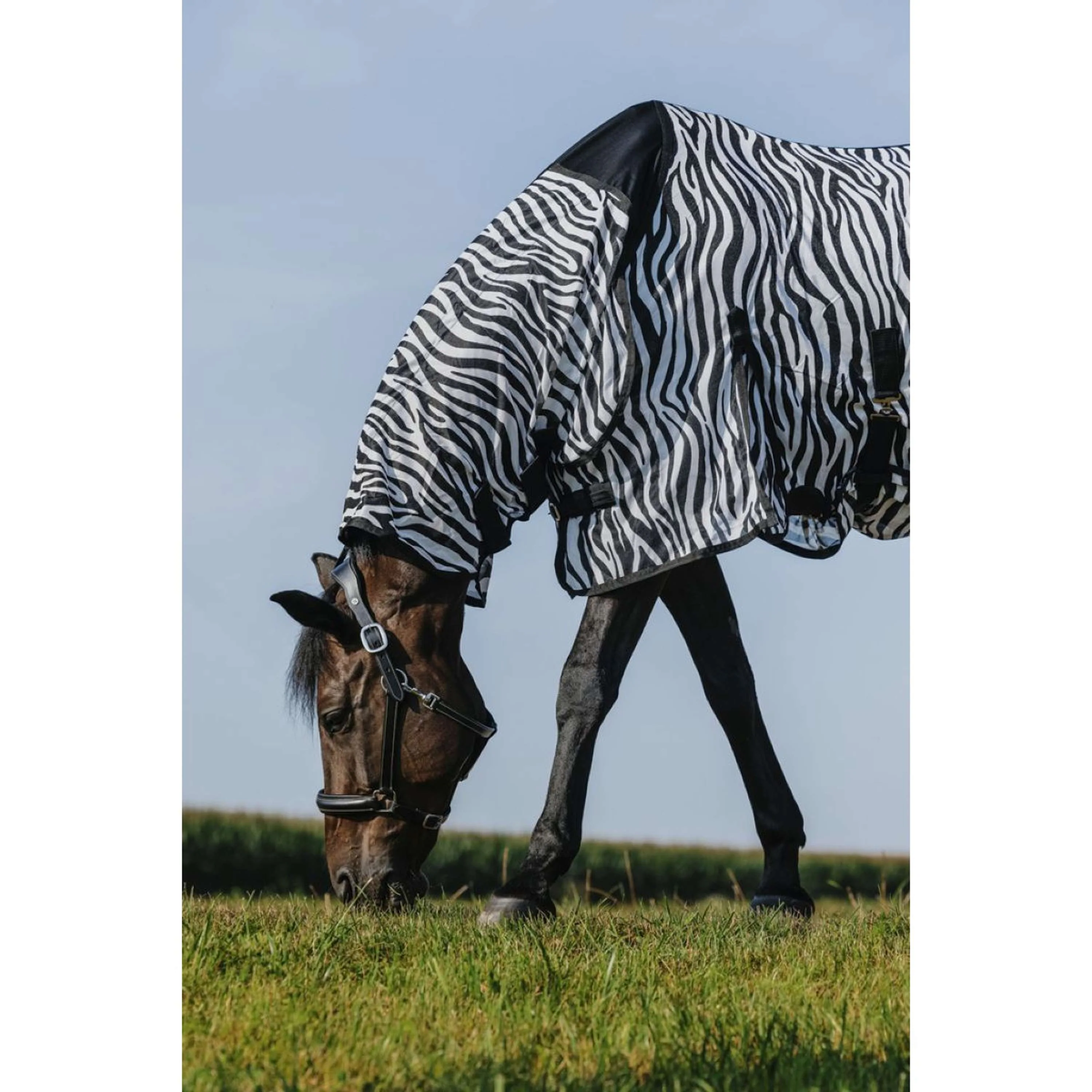 Riding World Couverture Anti-Mouches Belly Mesh Combo Zebra - Image 3