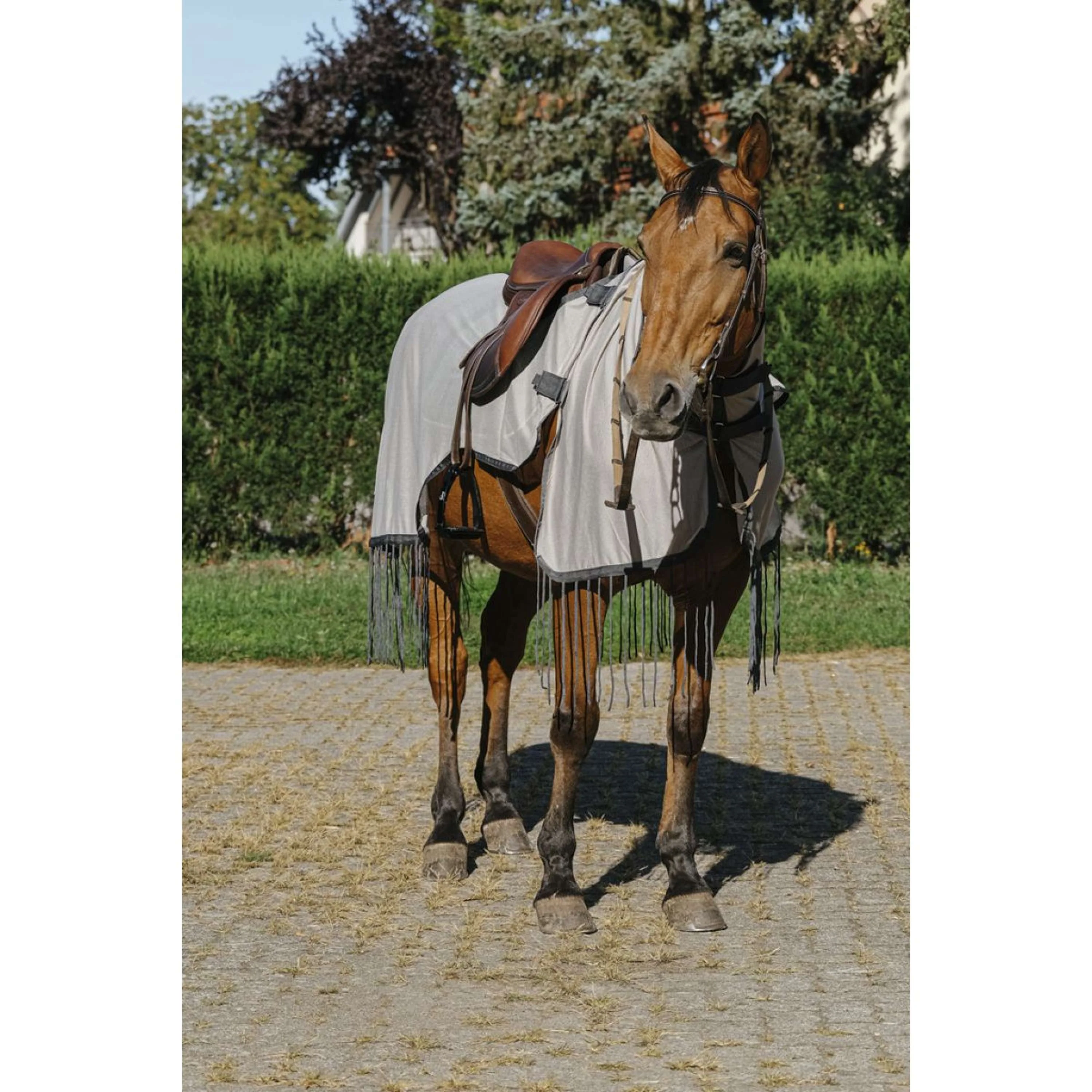 Riding World Couvre-reins Anti-Mouches Mesh Gris - Image 2