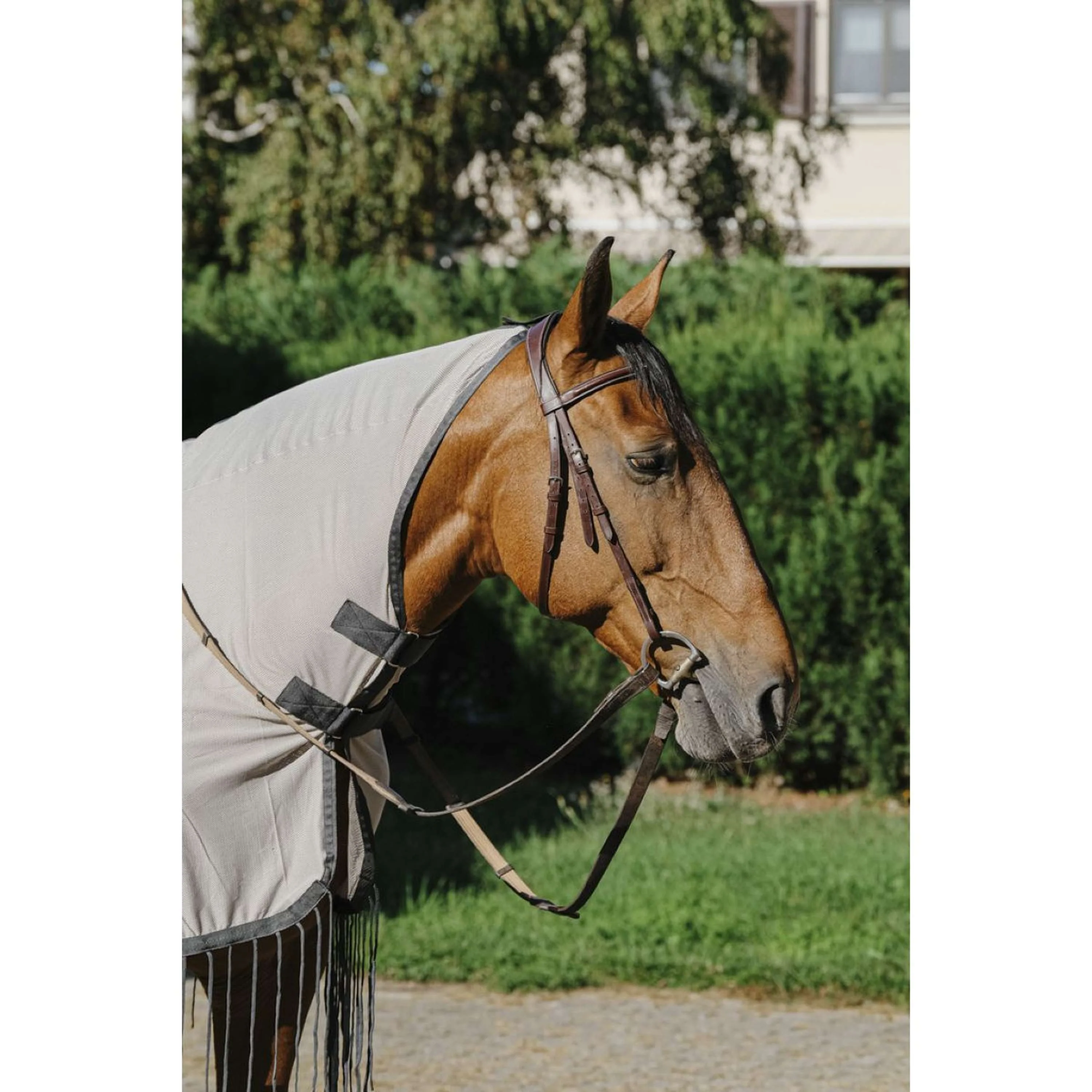 Riding World Couvre-reins Anti-Mouches Mesh Gris - Image 3
