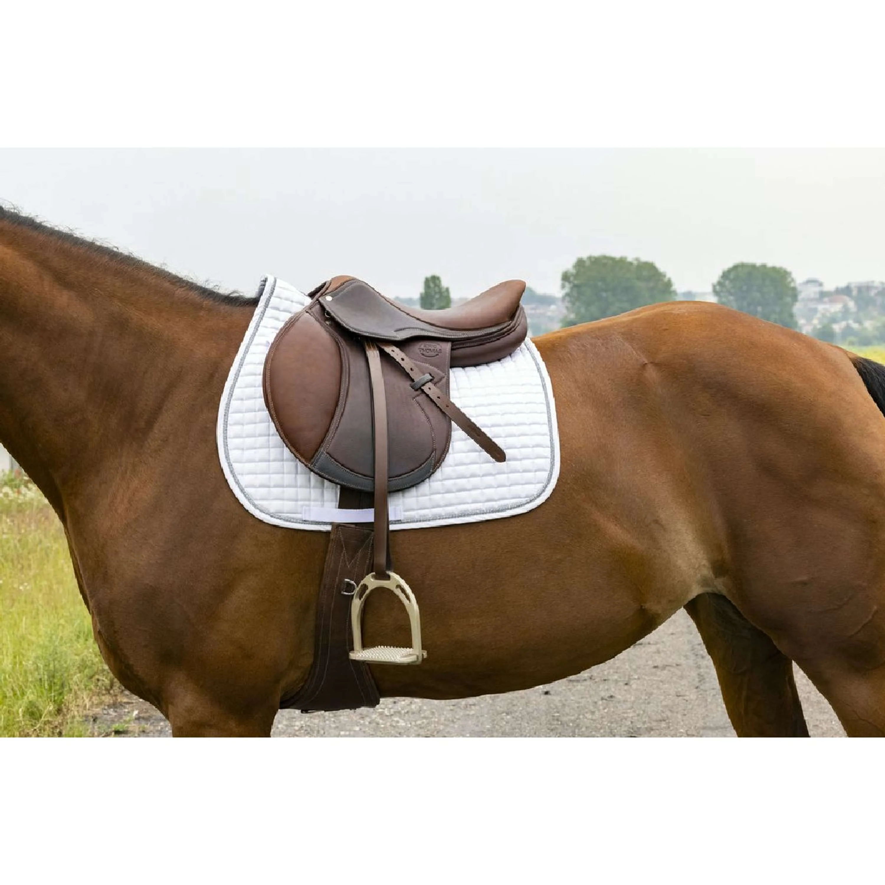 Riding World Tapis de Selle Girly Blanc - Image 2