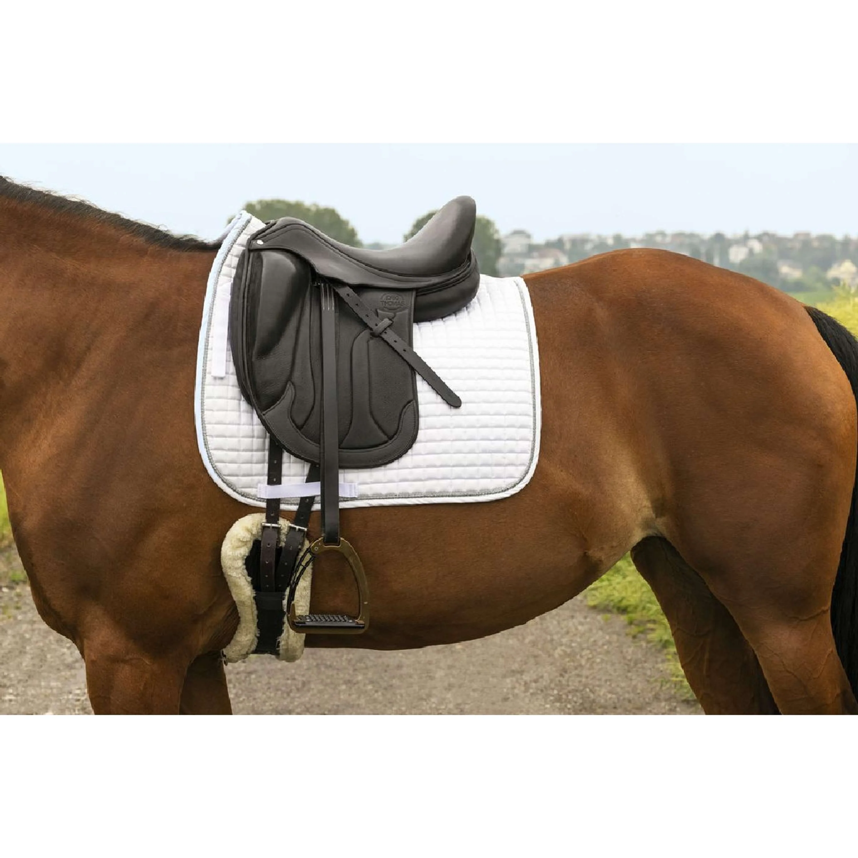 Riding World Tapis de Selle Girly Dressage Blanc - Image 7
