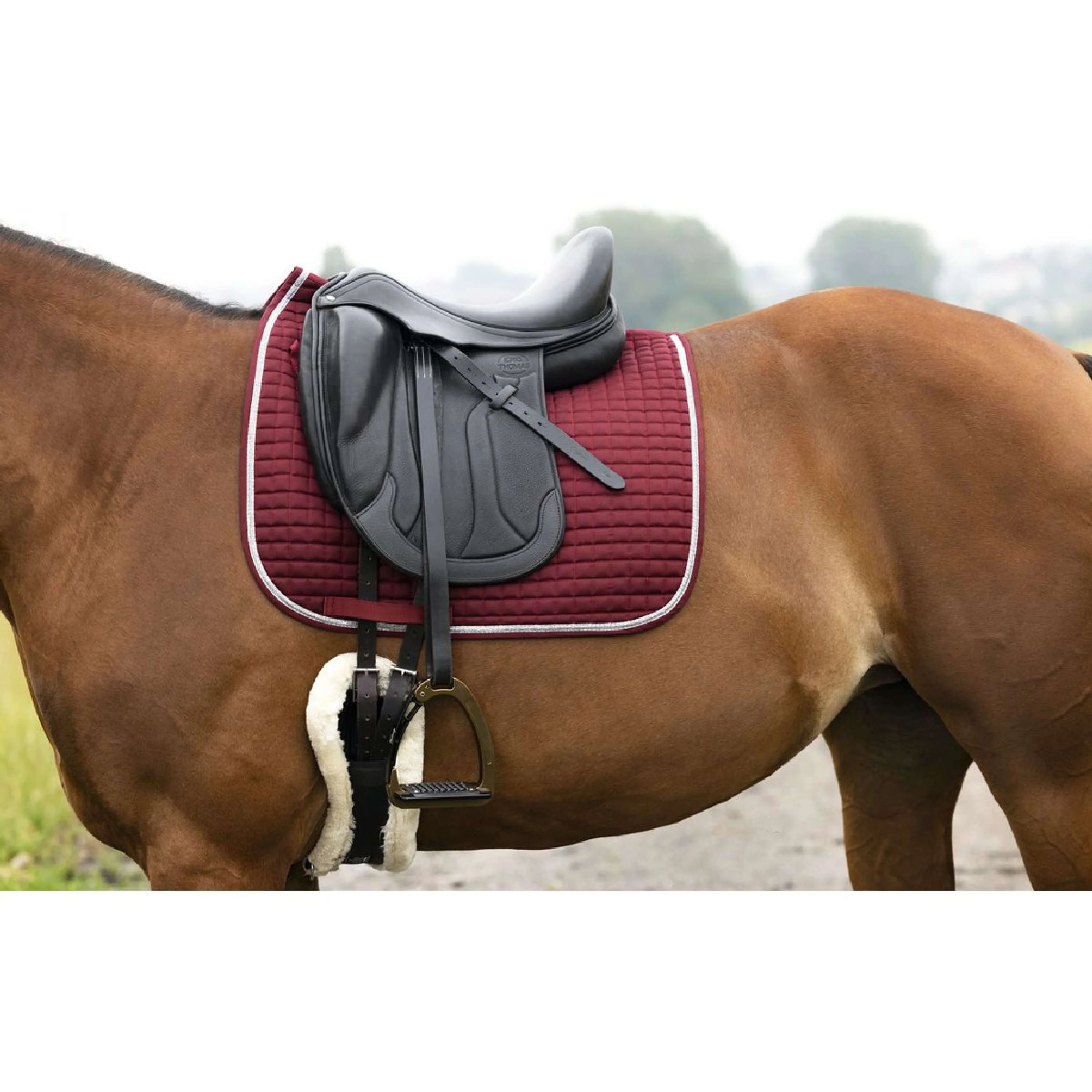 Riding World Tapis de Selle Girly Dressage Bordeaux - Image 2