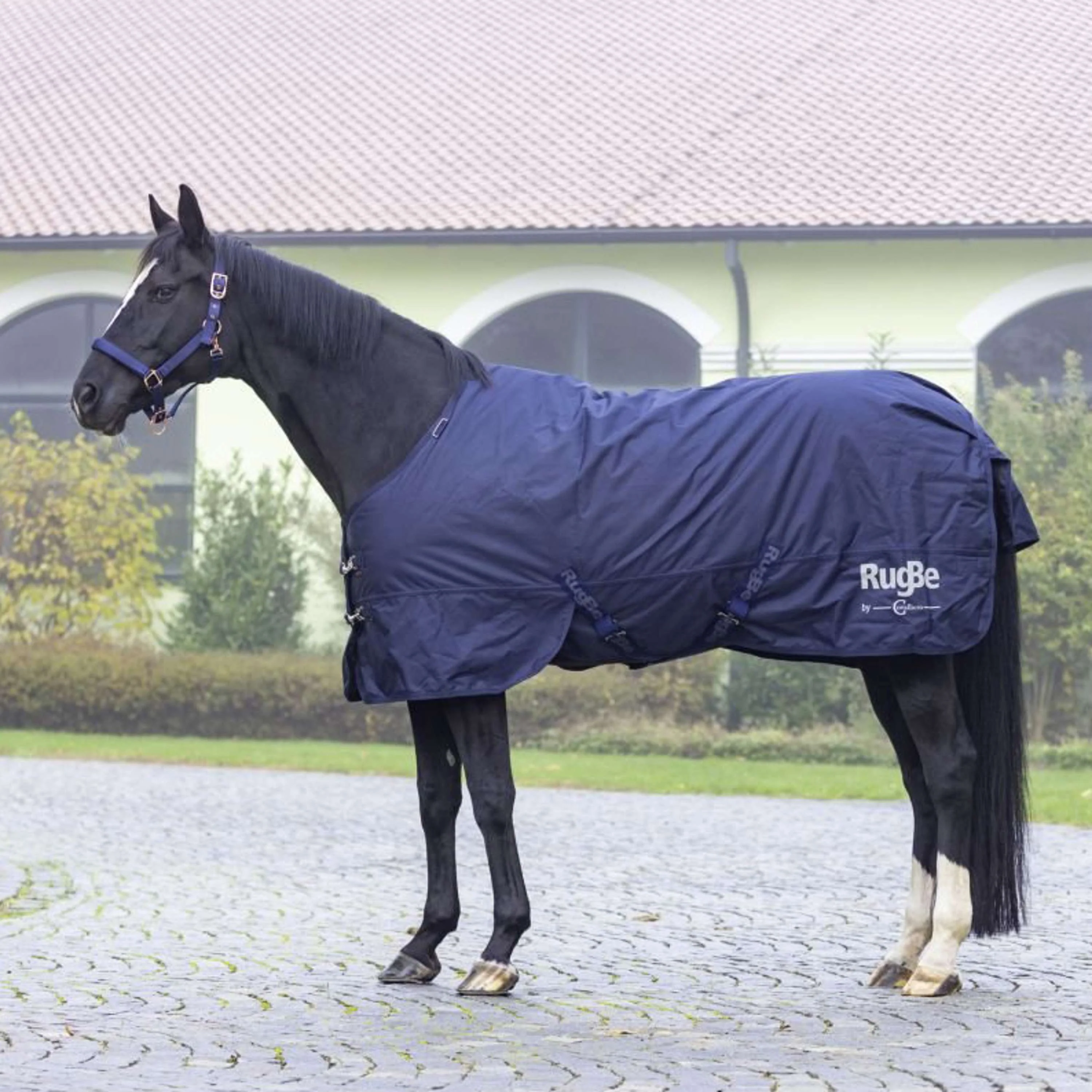 RugBe by Covalliero Couverture d'Hiver IceProtect 200g Marin foncé