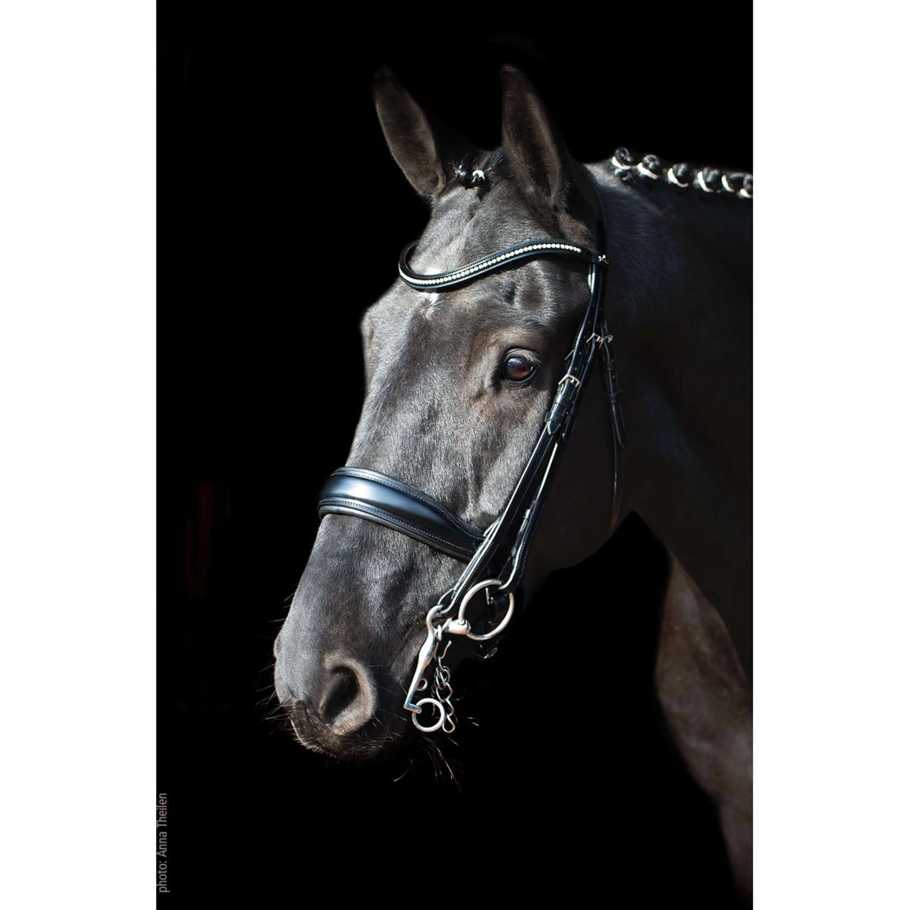 Schockemöhle Ensemble Bride Classic Line Milan Noir/Argent - Image 2