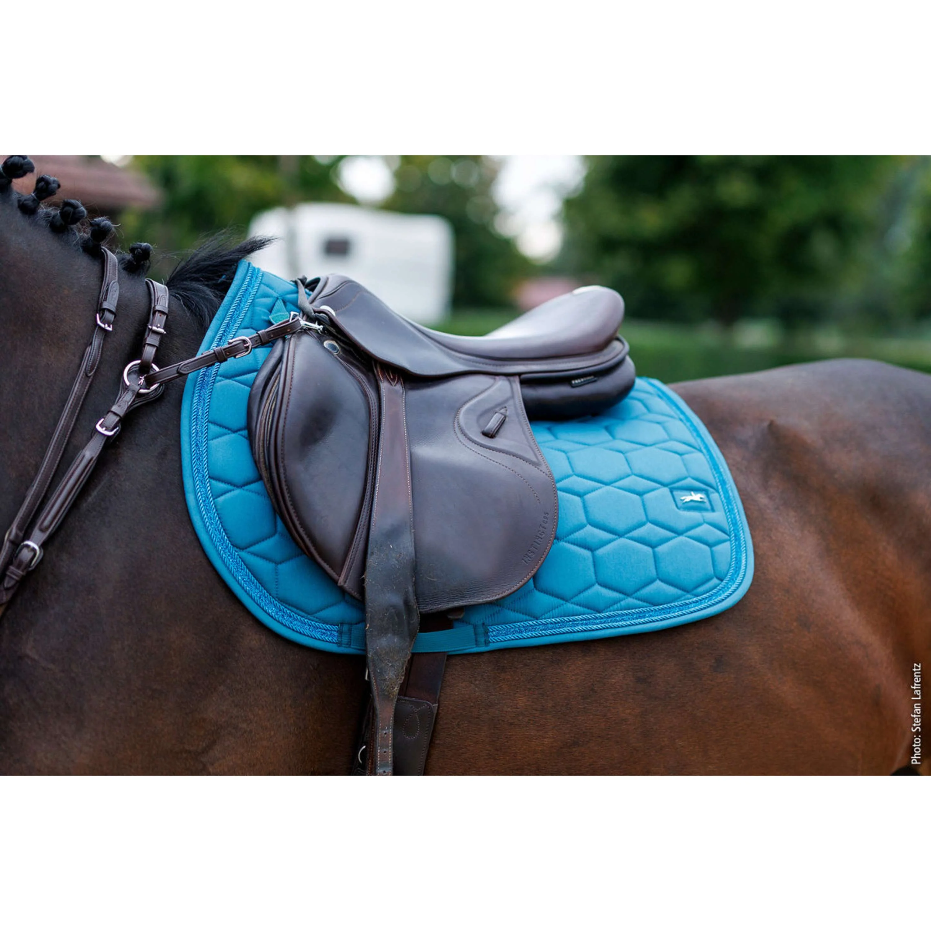 Schockemöhle Tapis de Selle SP High Density S Style de Saut Colonial Blue - Image 2