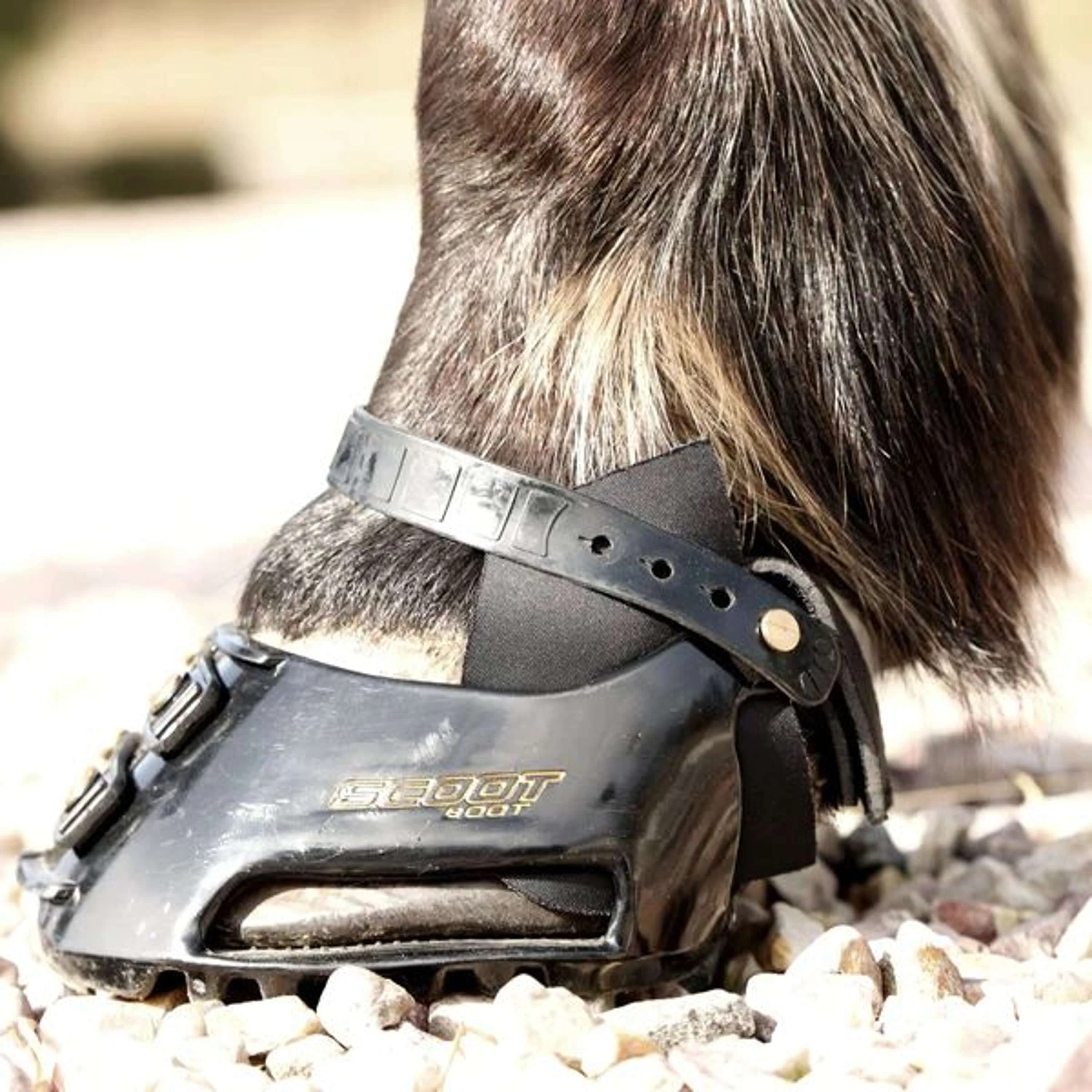 Scoot Boot Hybrid Gaiter Noir - Image 3