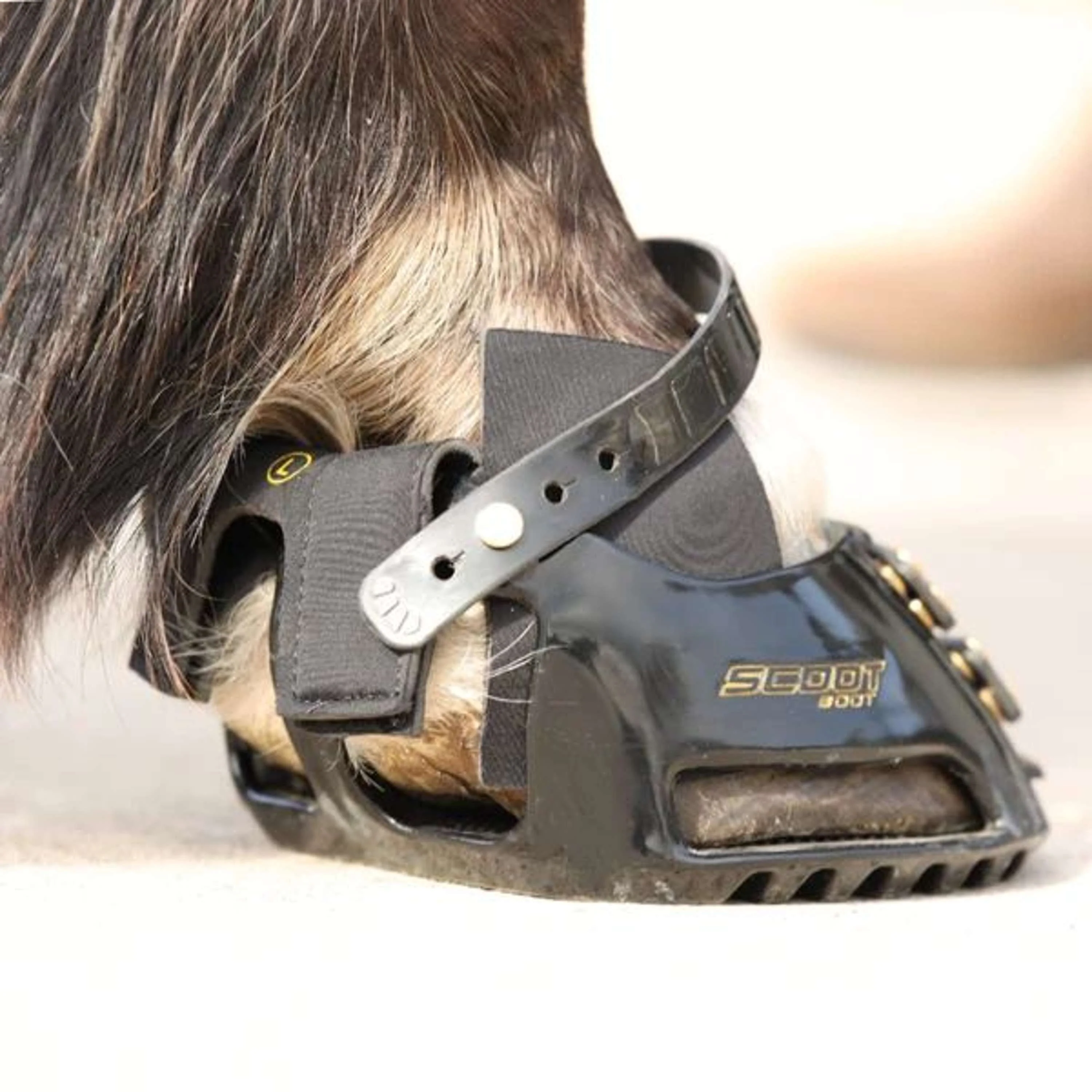 Scoot Boot Hybrid Gaiter Noir - Image 4