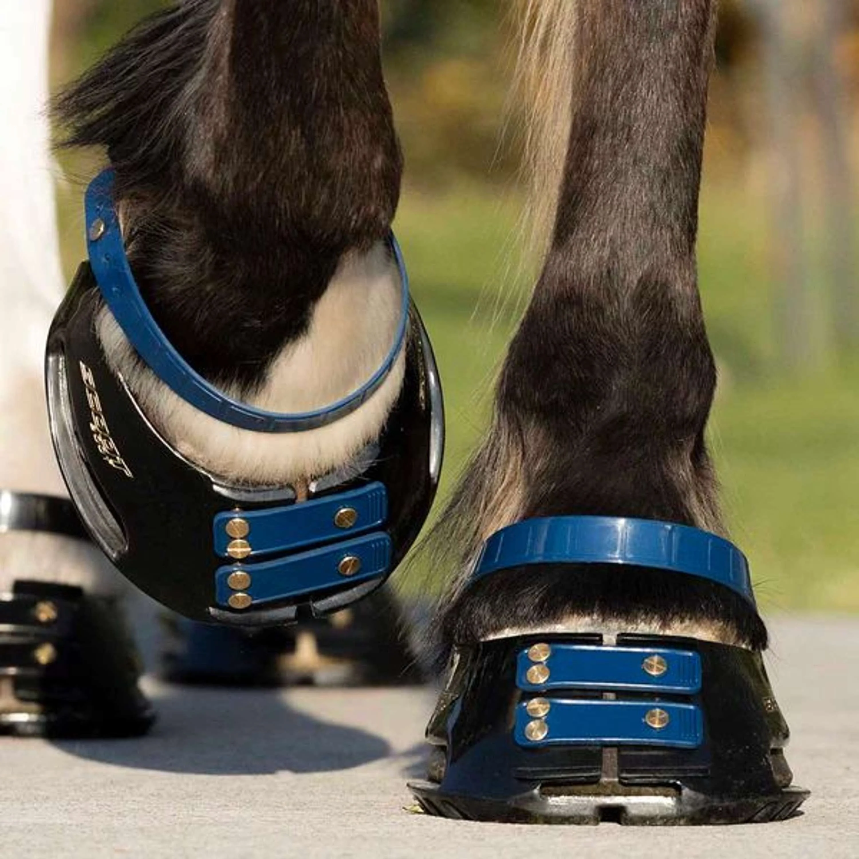 Scoot Boot Front Strap Marin - Image 2