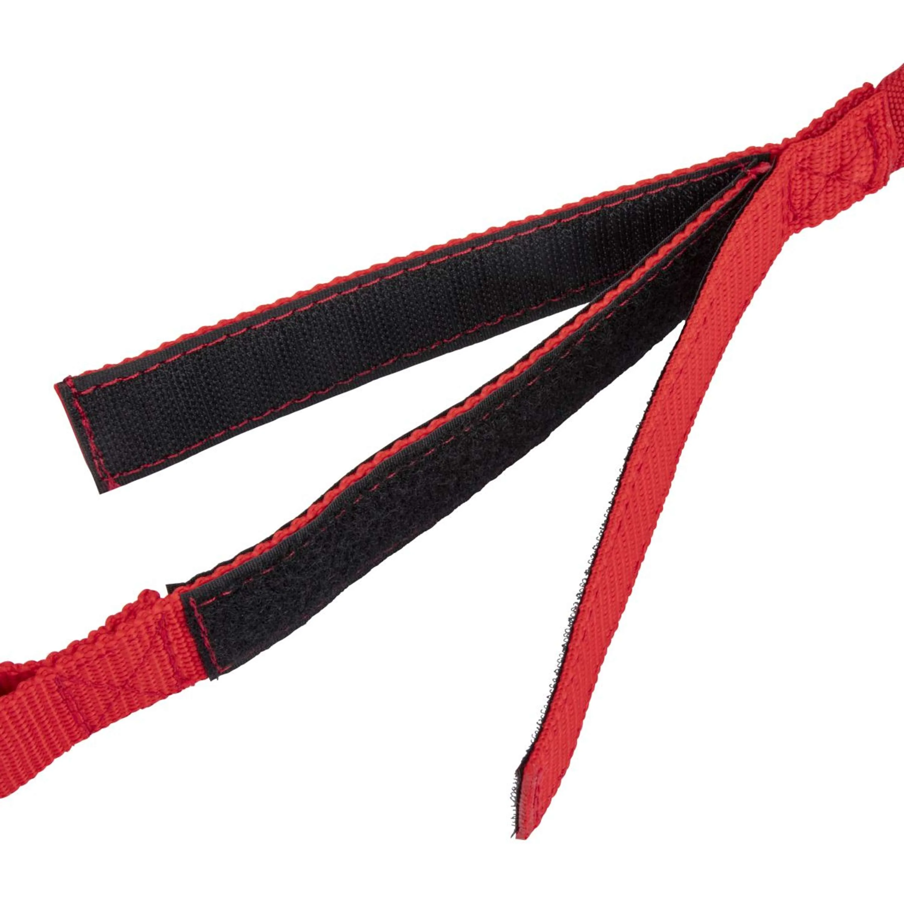 Shires Chaîne d'Attache Bungee Breakaway Rouge - Image 6