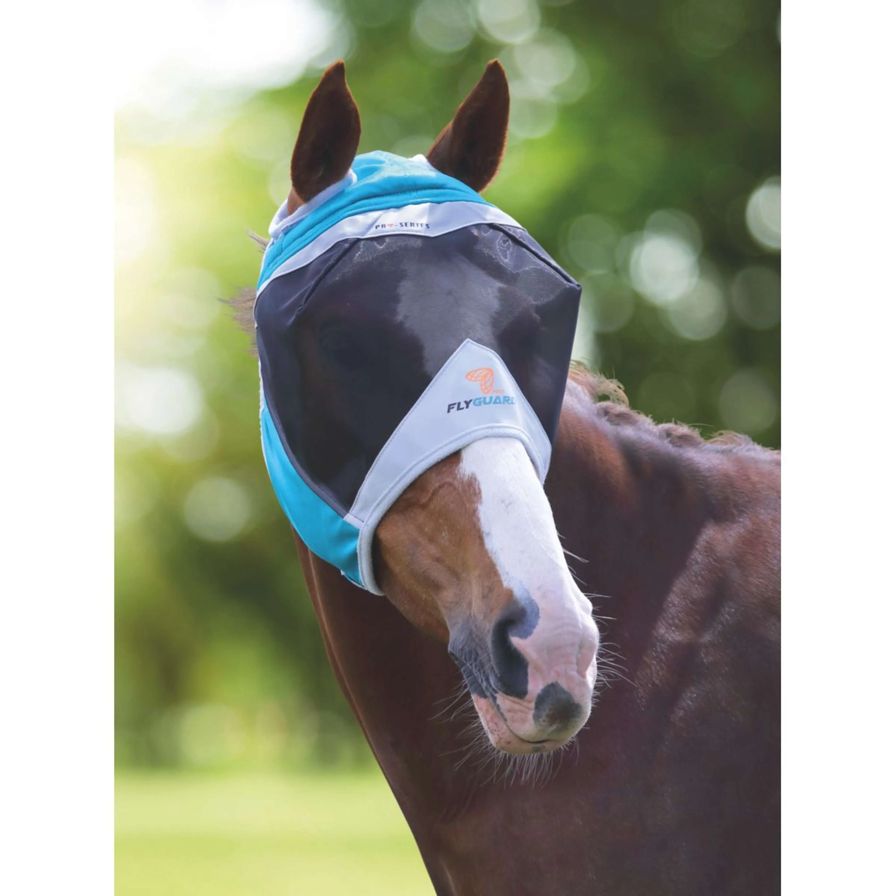 Shires Masque Anti-Mouches Filet Fin avec Découpe D'oreille Teal - Image 5
