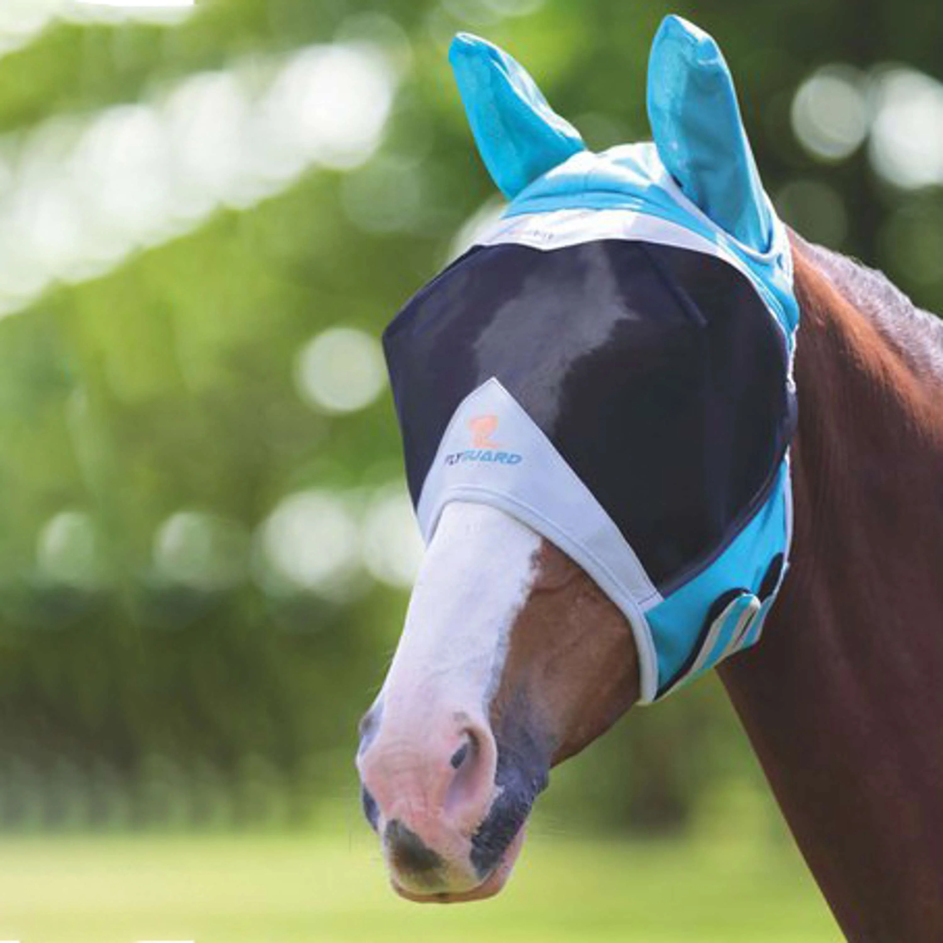Shires Masque Anti-Mouches Filet Fin avec Oreilles Teal - Image 4