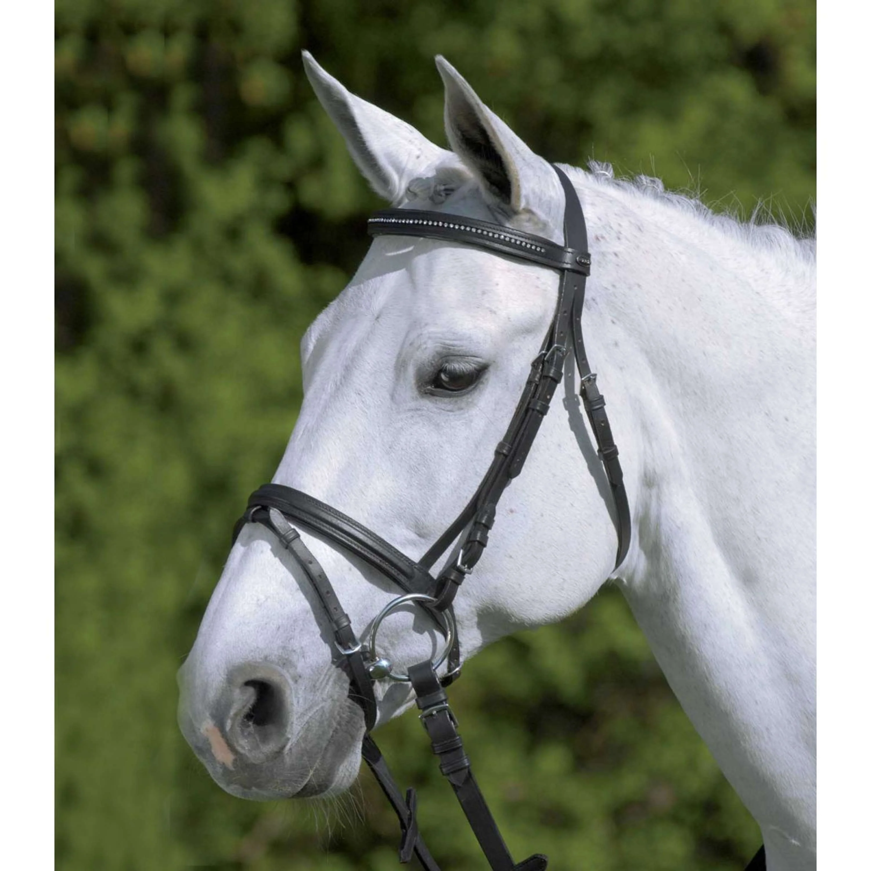 Star Bridon Diamond Anglais Combiné Noir