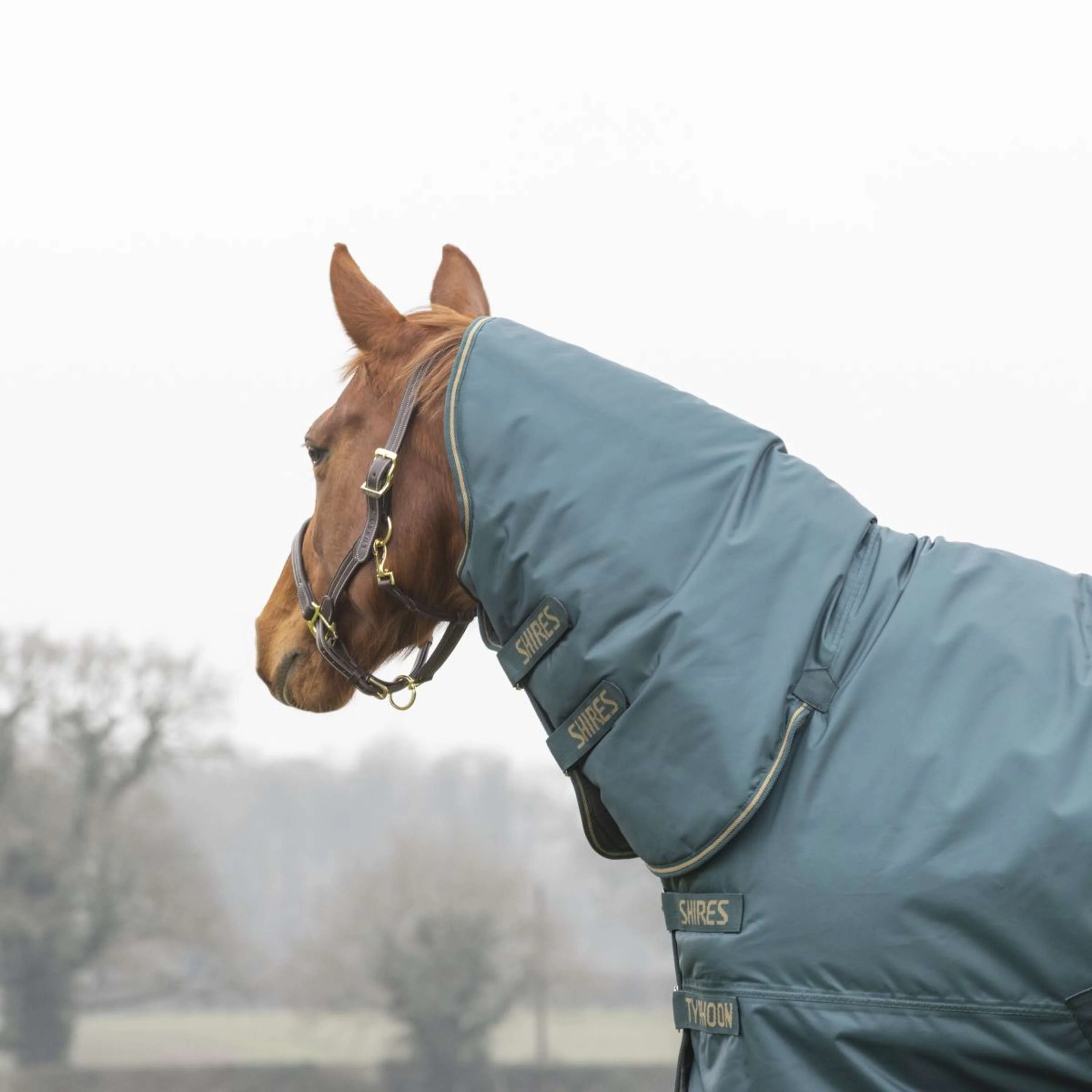 Tempest by Shires Couverture d'Hiver Turnout Typhoon 200g Vert - Image 5