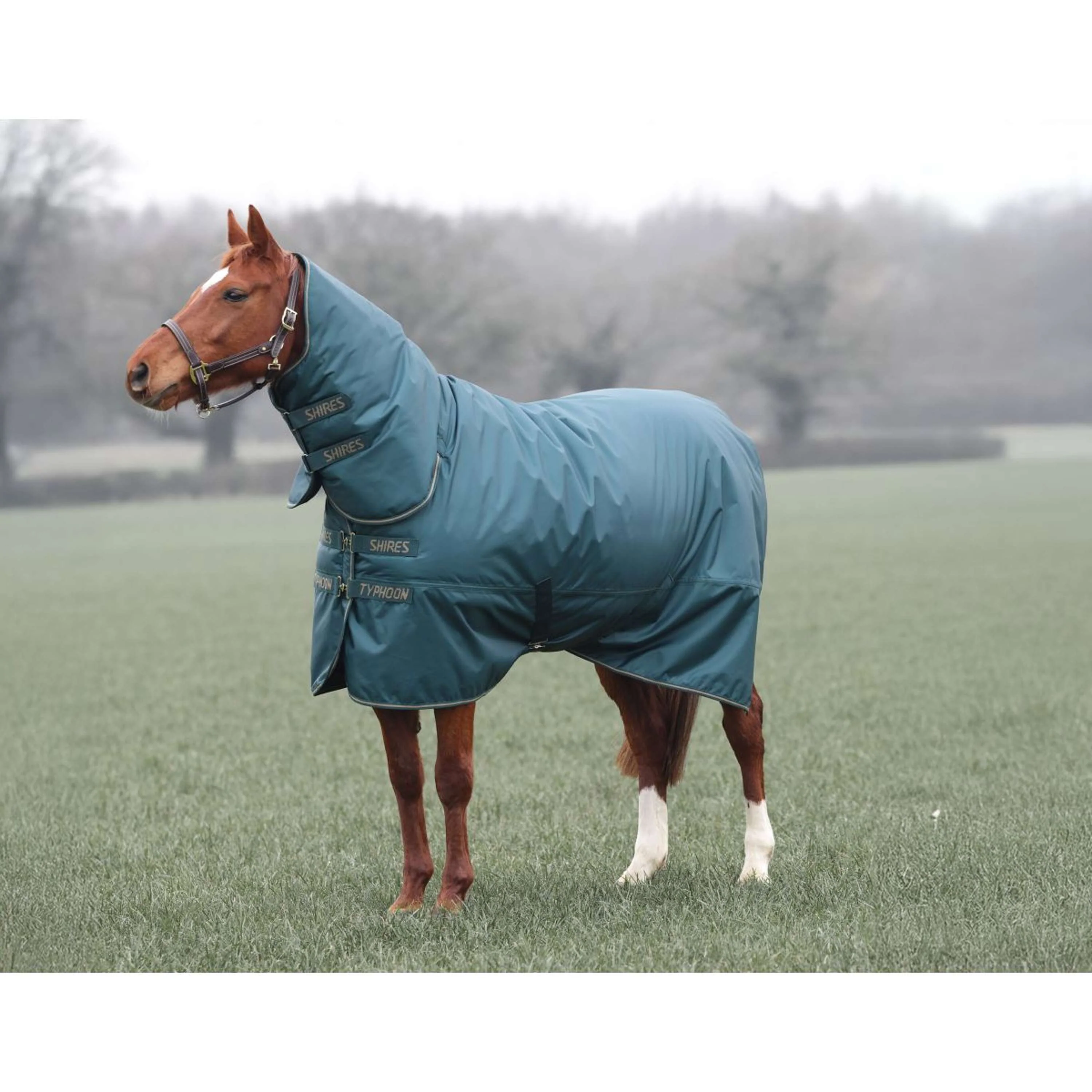 Tempest by Shires Couverture d'Hiver Turnout Typhoon 200g Vert - Image 4