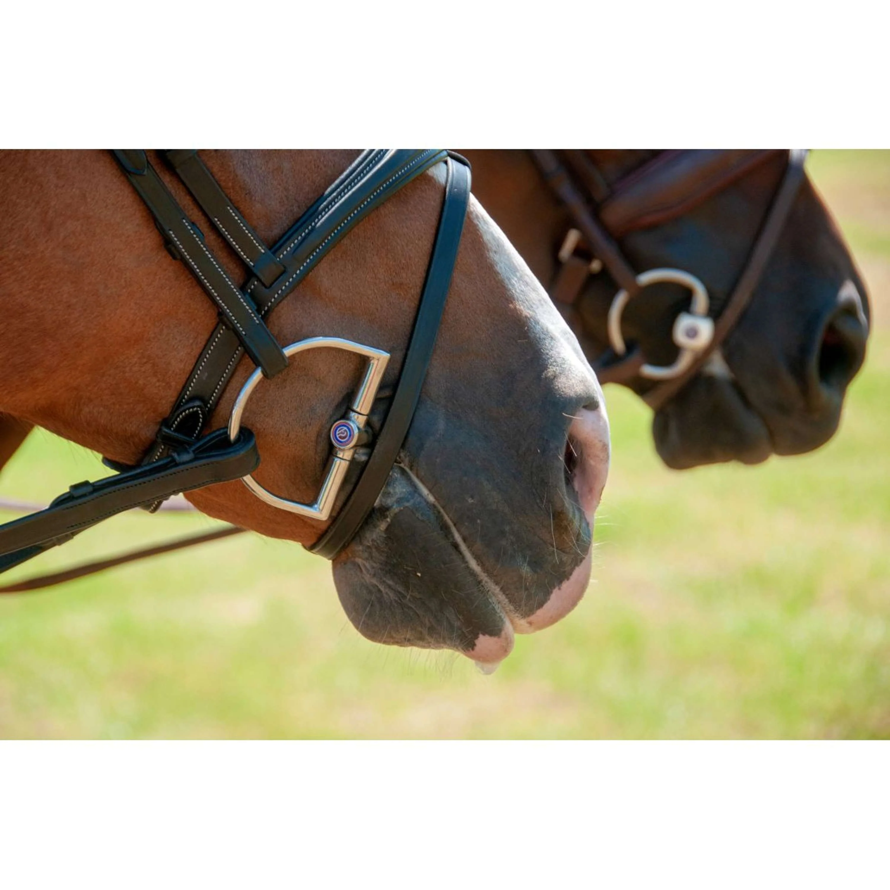 Trust Mors de Dressage Inno Sense Dee Flexi Soft 20mm - Image 3