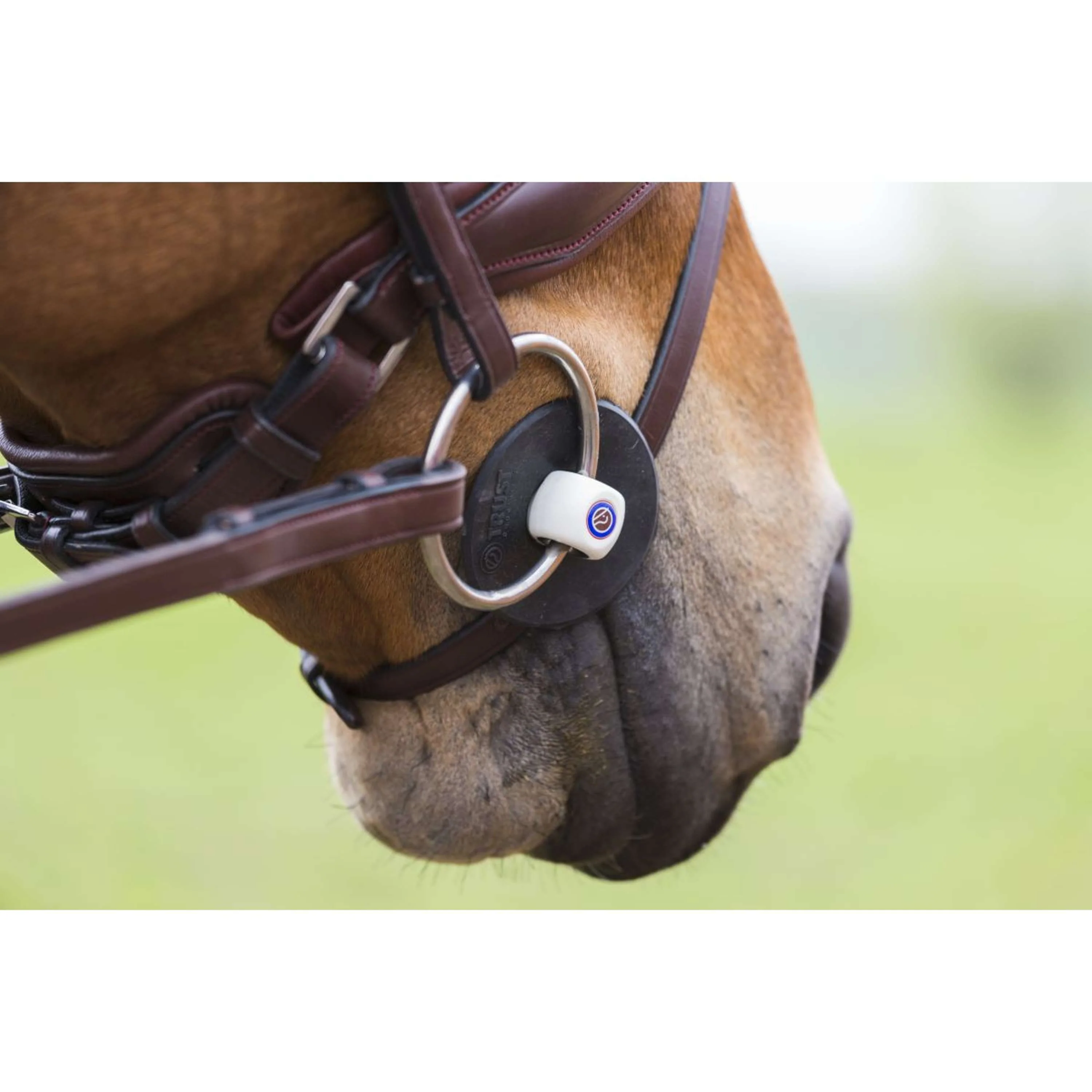 Trust Mors de Dressage Inno Sense Flexi Soft 15mm - Image 2