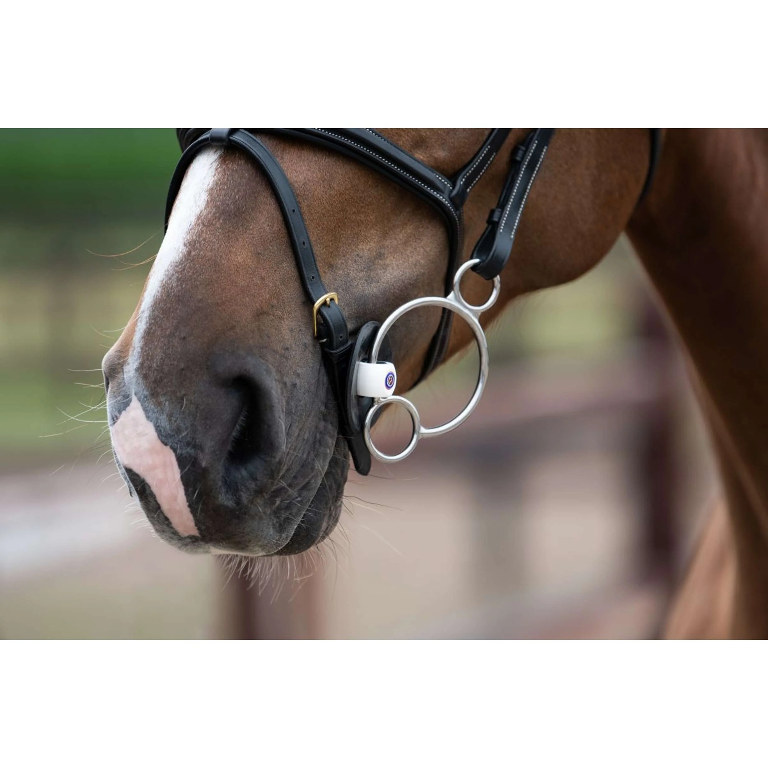 Trust Pessoa Mors Inno Sense 2,5 Ring Port Medium 15mm - Image 2