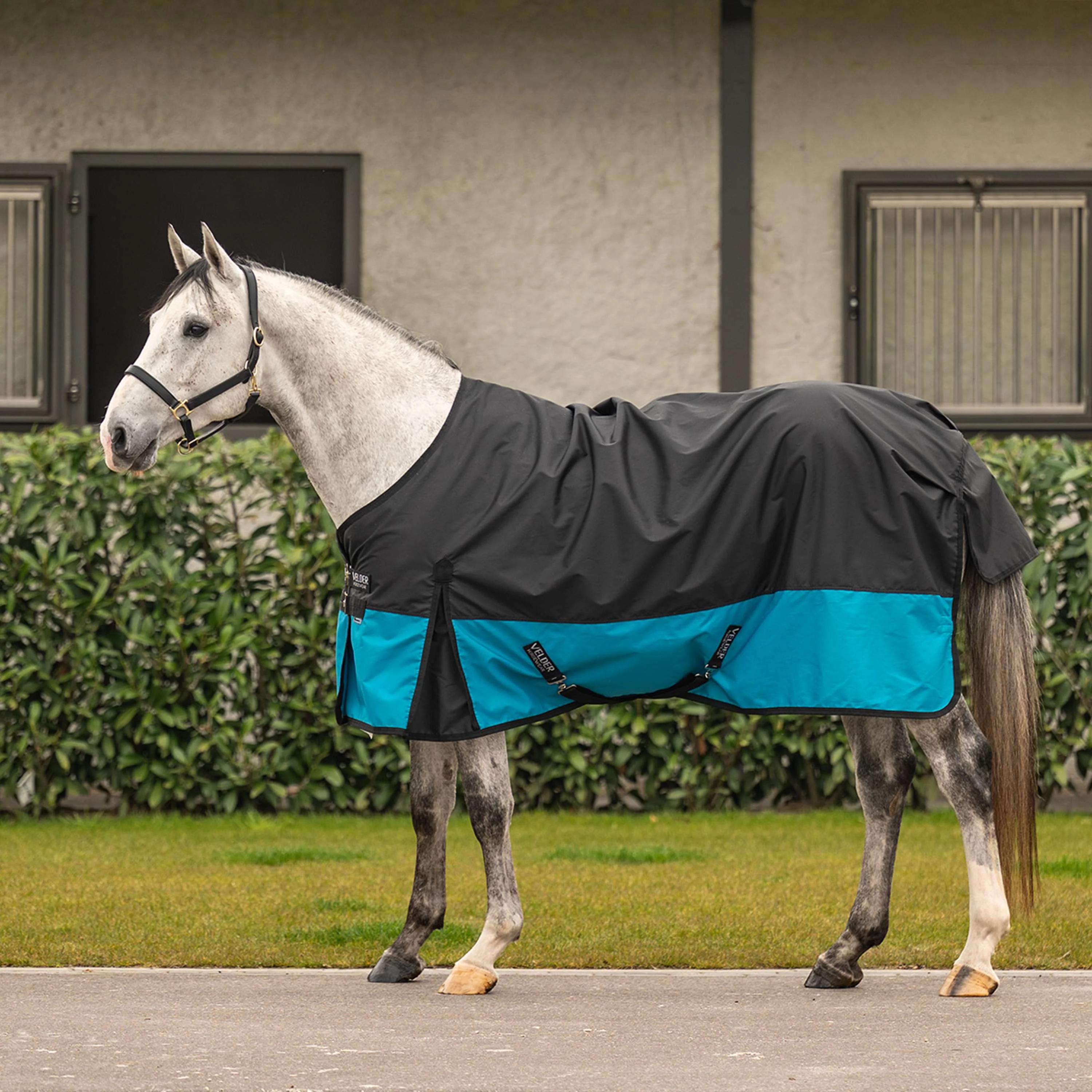 Velder Horsewear Classic Turnout Rug 600D 0g Noir