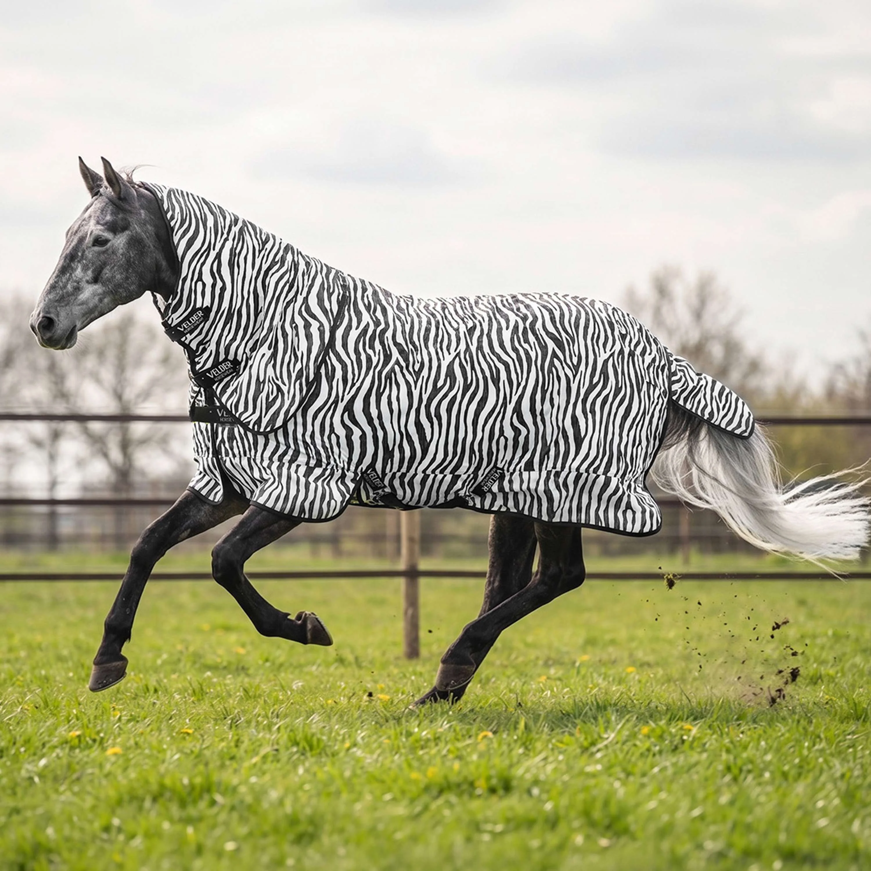 Velder Horsewear Couverture Anti-Mouches avec Couvre-cou Zebra Noir/Blanc